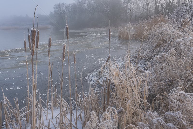  Frozen by Norman O'Neill - 1st (Landscape Print) 