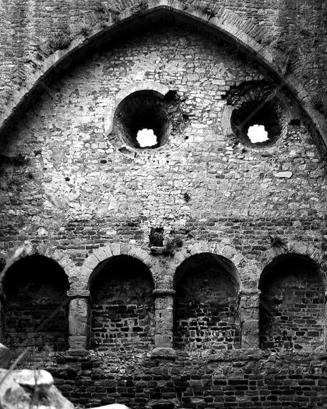  Face in the Wall by Tracy Jackson - 2nd (Int Mono Print) 