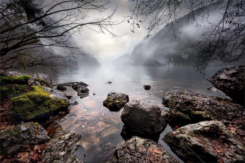  Misty Morning on Konigssee by Calvin Downes - 1st (Adv) 