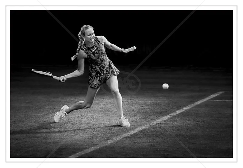  Potapova Forehand by Calvin Downes - HC (Adv mono) 