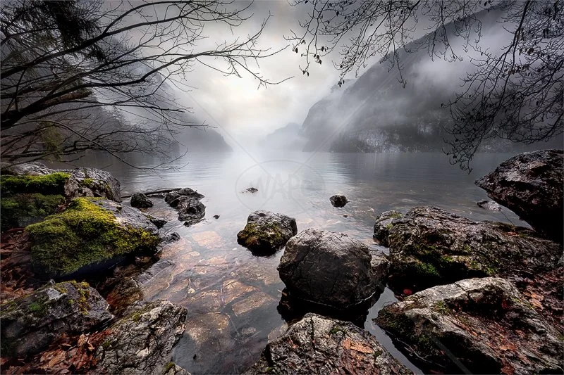  Misty Morning on Konigssee by Calvin Downes - C (Adv) 