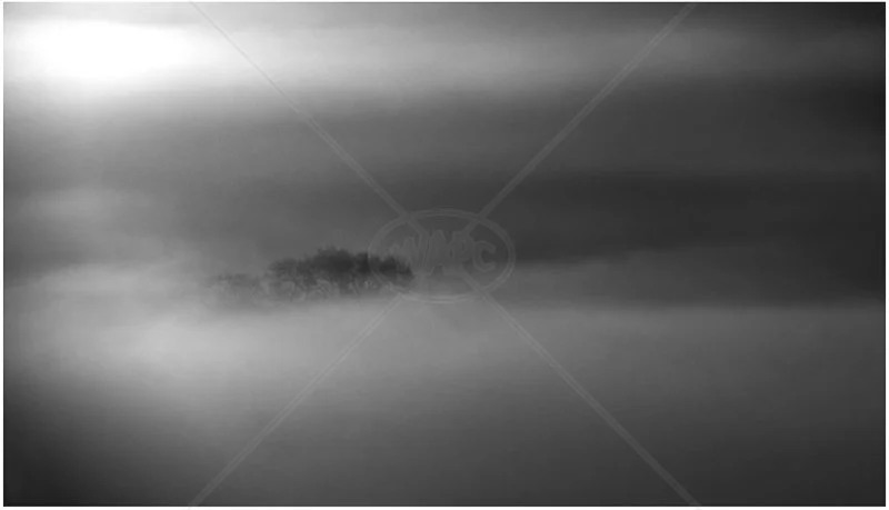  Out of the Mist by Steve Rex - 2nd (Adv) 