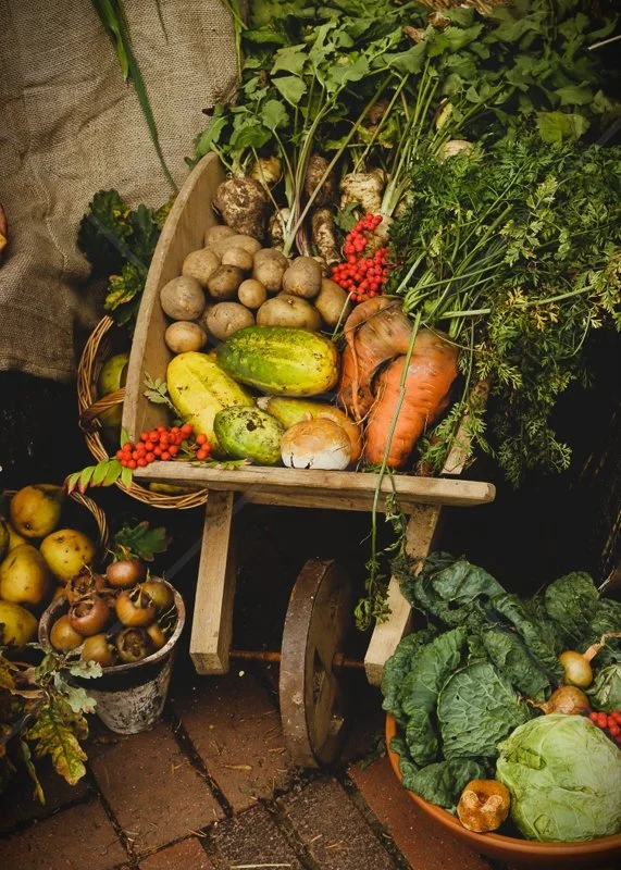  THE HARVEST DISPLAY by Ian Burton - C (Int) 