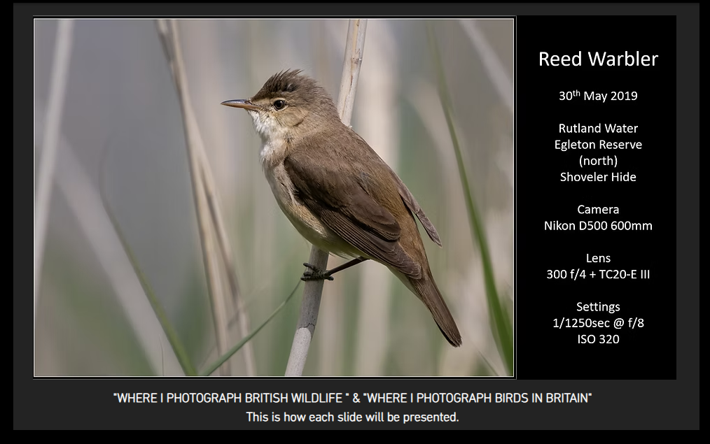 'Where I photograph British Wildlife' - A ZOOM talk by Malcolm Hupman