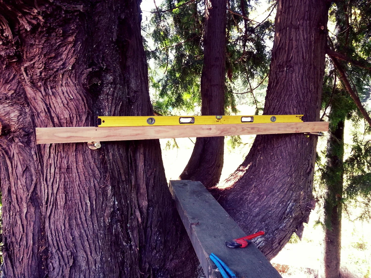 20140823_135346.jpg