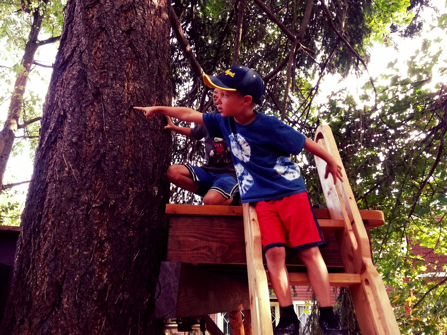 20140829_173415.jpg