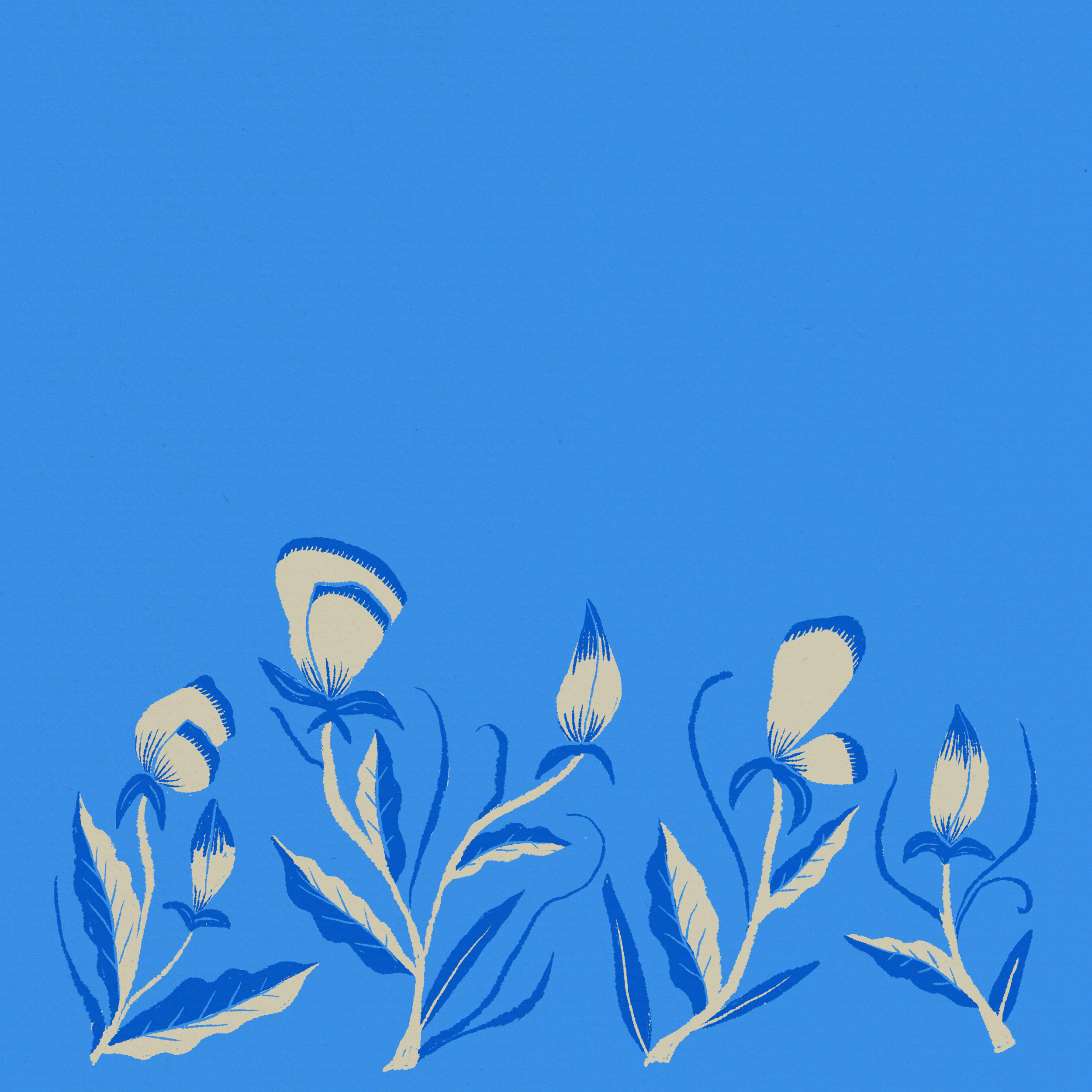 Untitled_Artwork.gif