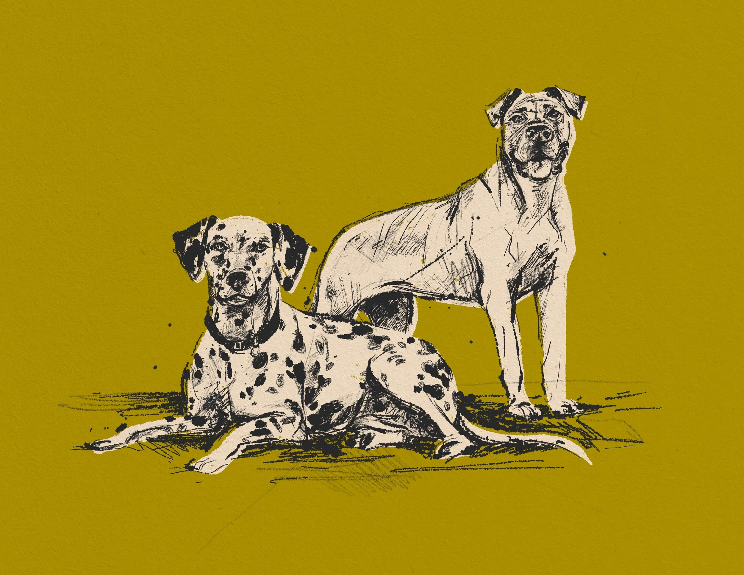 200201_Dogs_Mallory Cohn.JPG