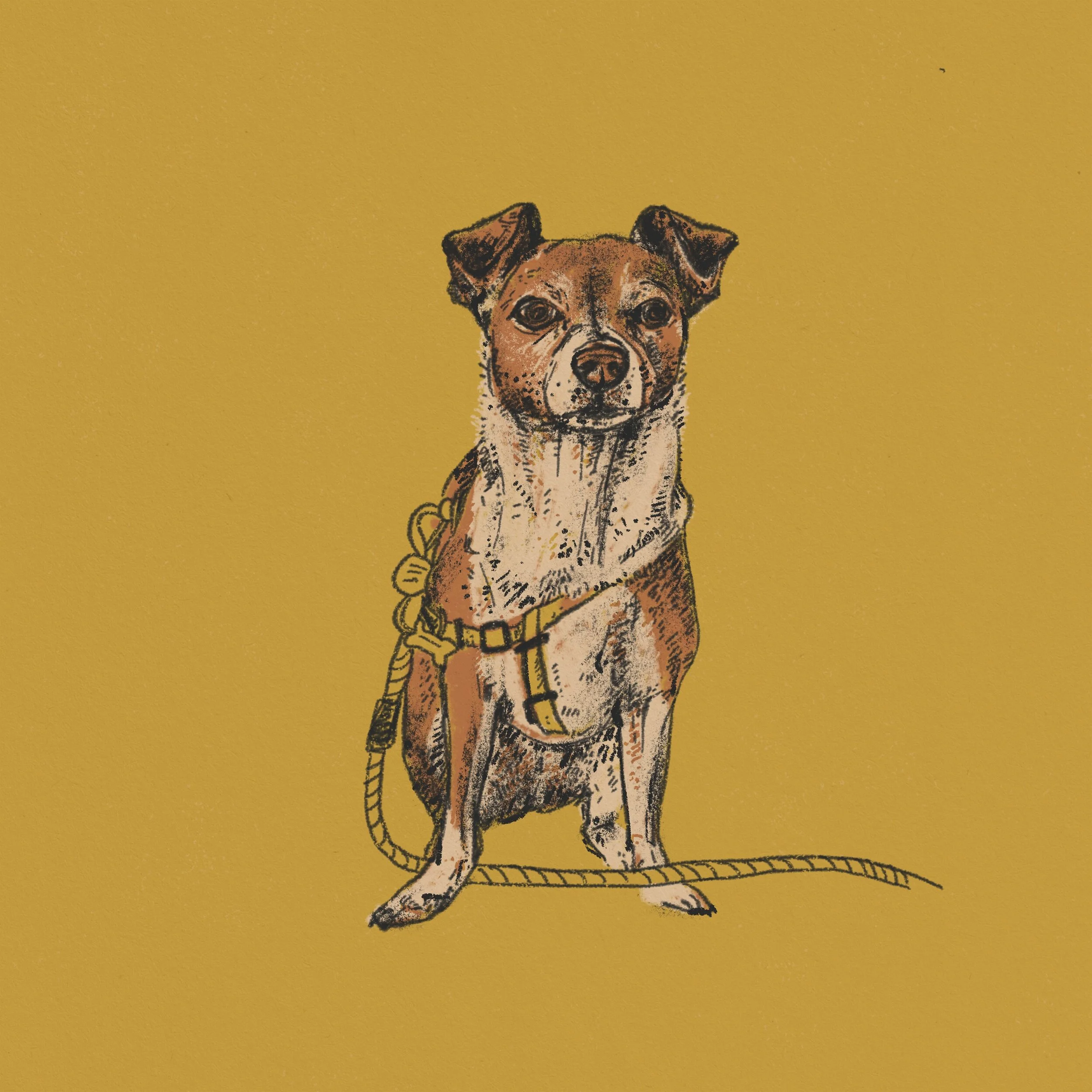 Untitled_Artwork 6.jpg