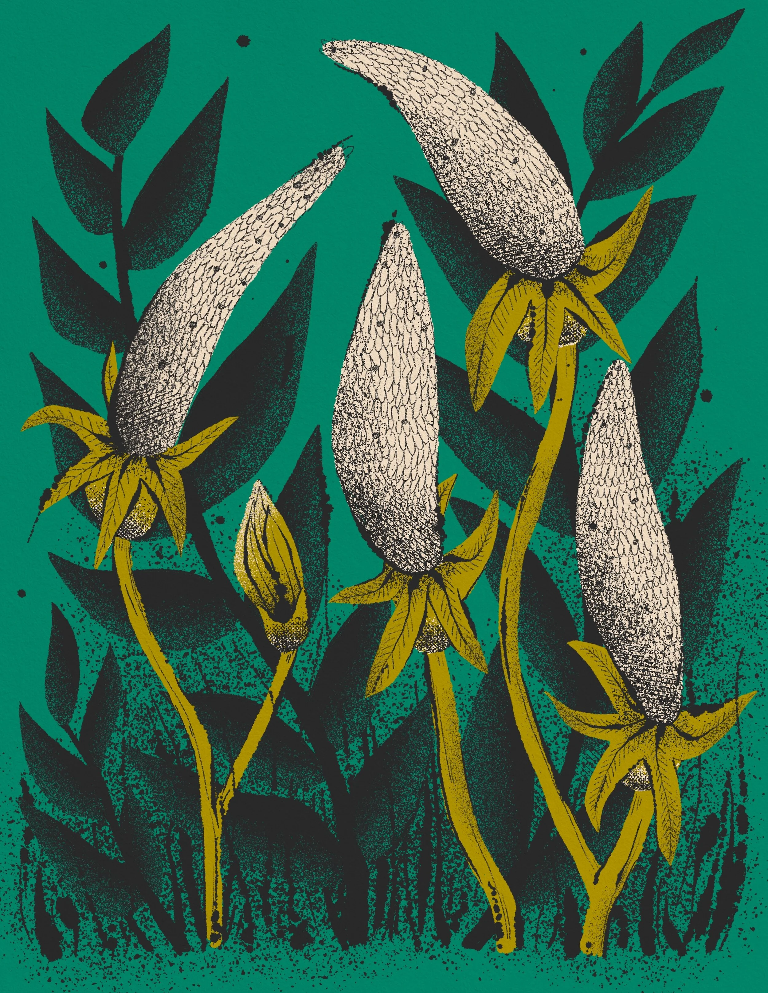 190924_flowers_Mallory Cohn.JPG