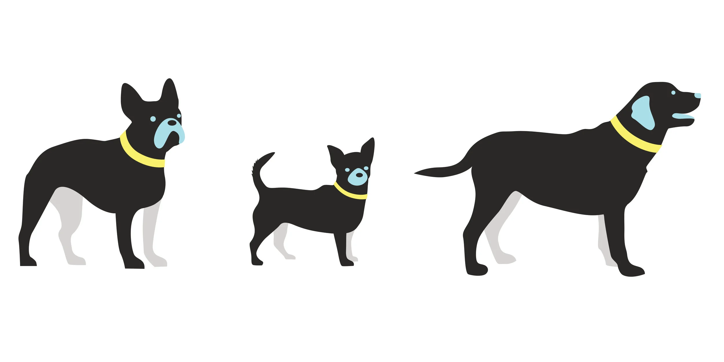 201019_Gallant icons website_Mallory Cohn-02.jpg