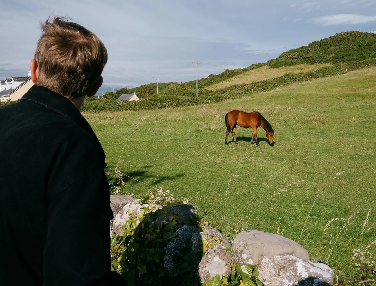 Been scheming about how to move to Ireland since we left.