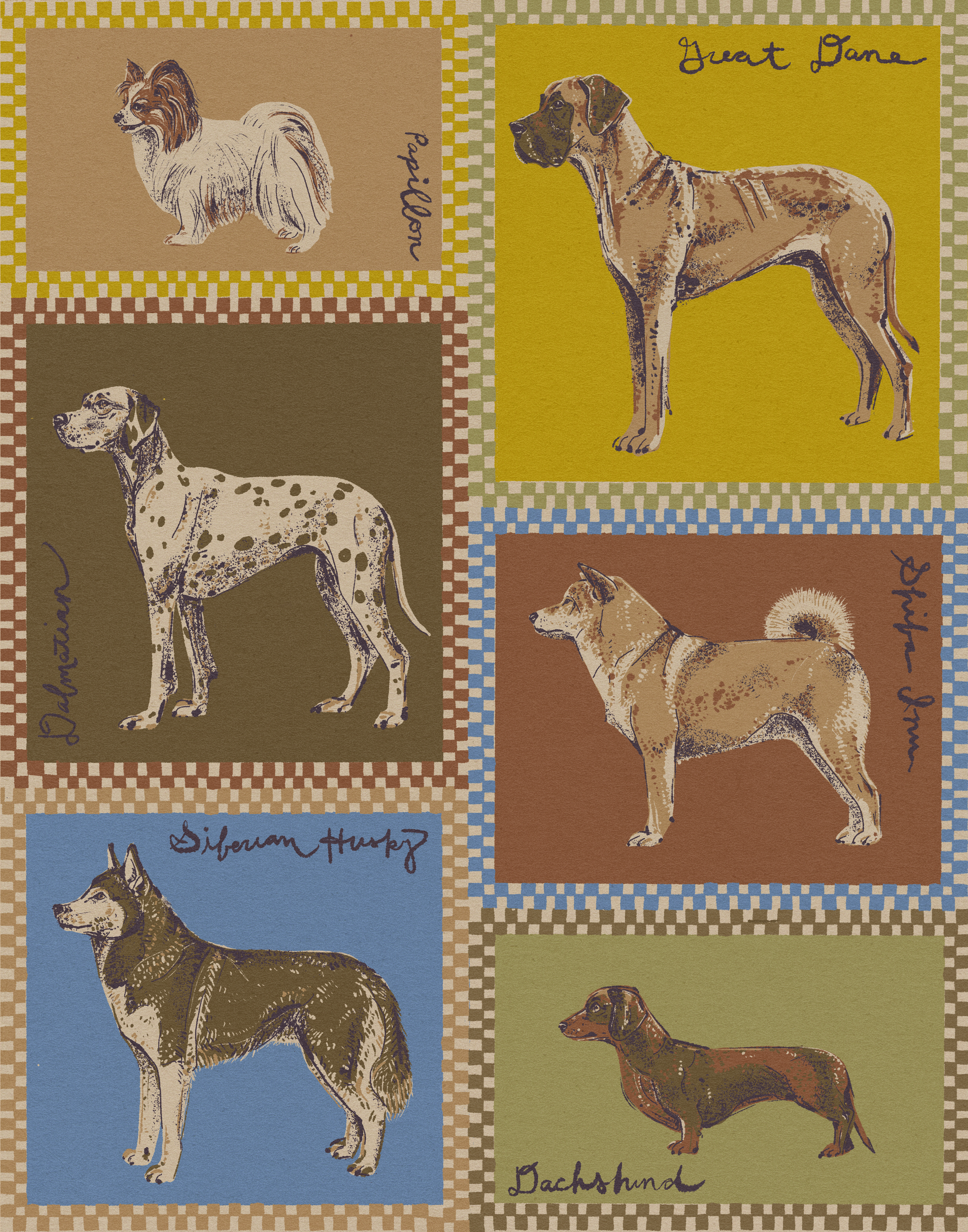 1_mallory cohn_dog breeds.PNG
