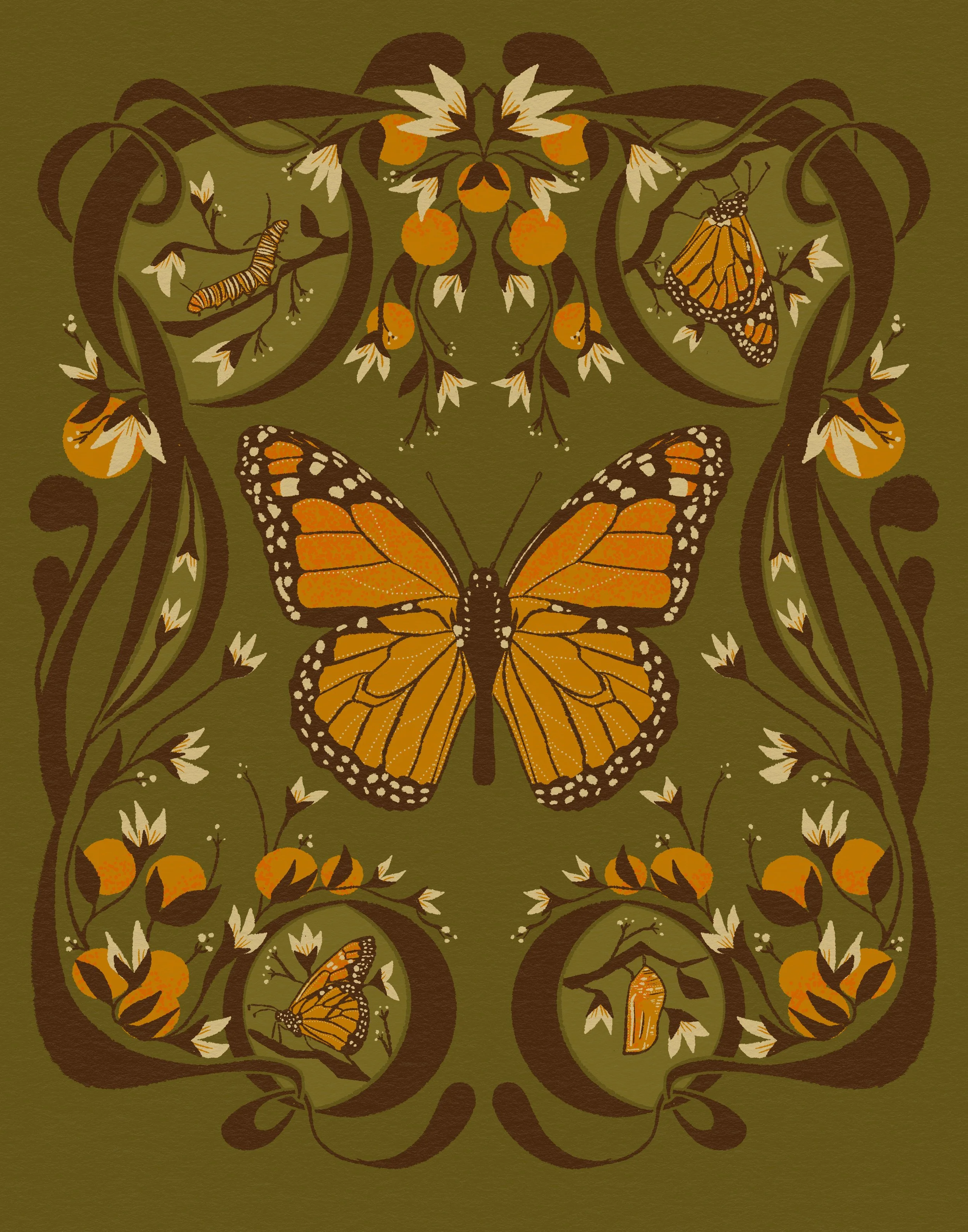 mallory cohn_butterfly.jpg