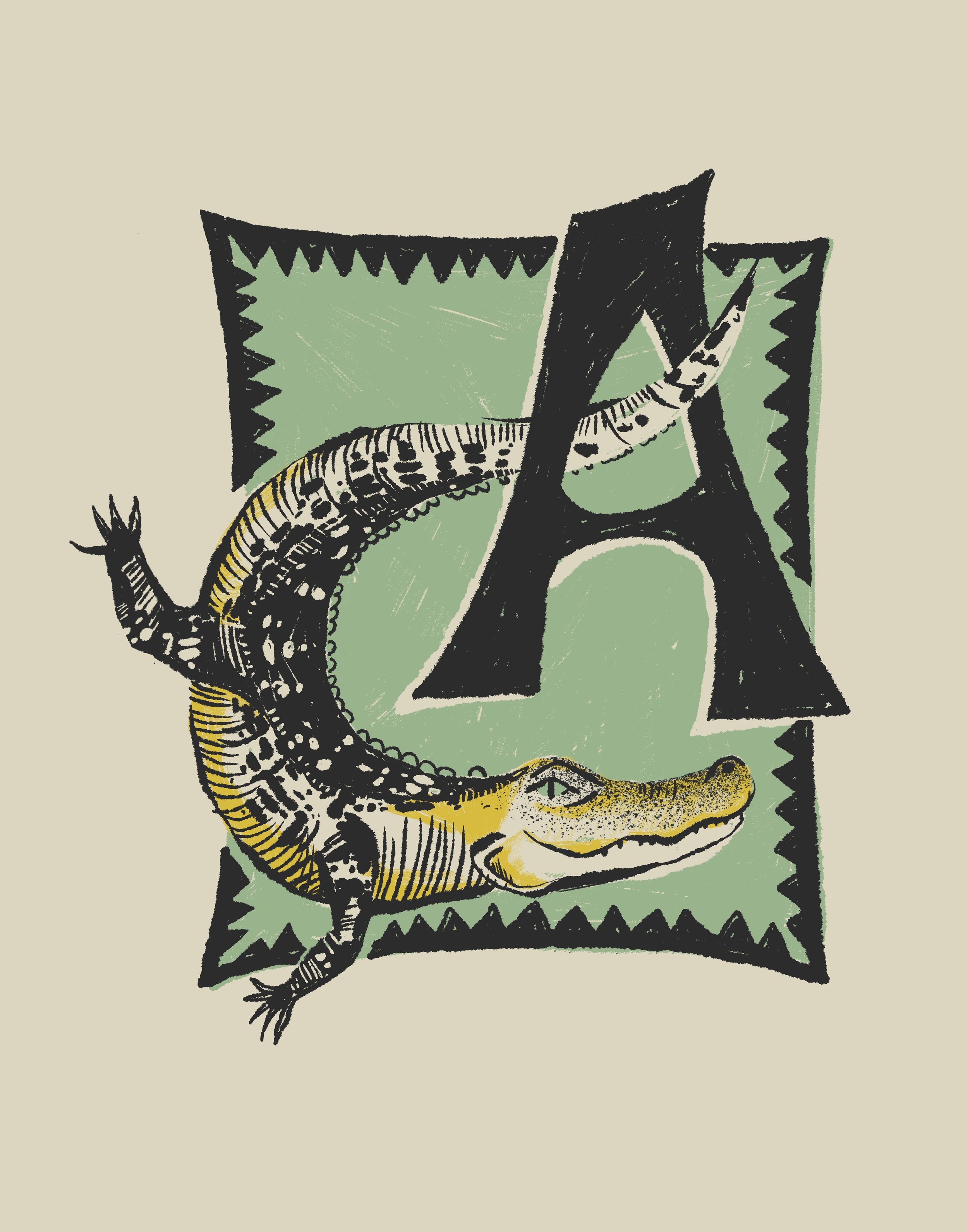 Mallory Cohn A letter alligator.JPG