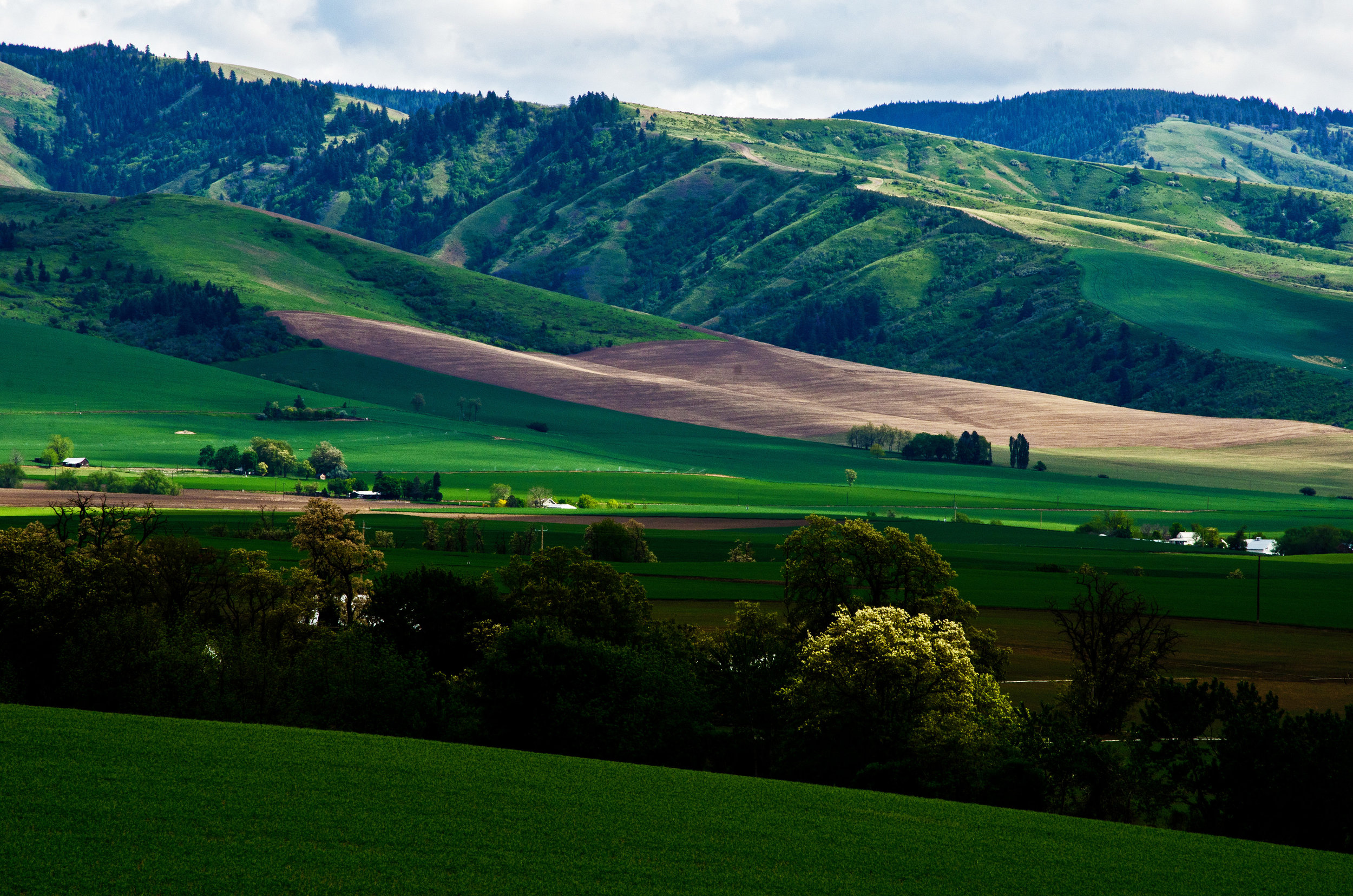 We protect the land you love. Forever.