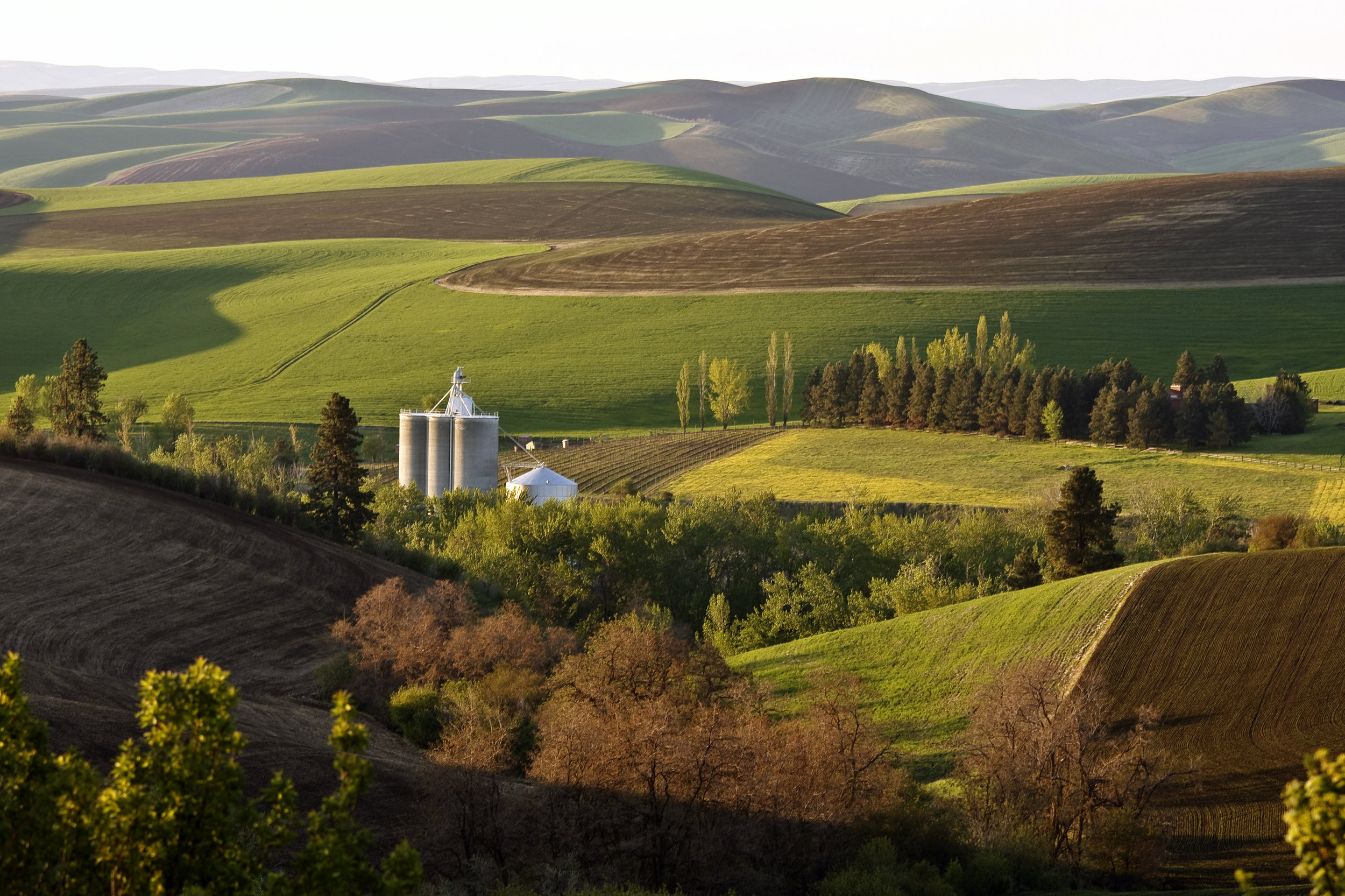 We protect the land you love. Forever.