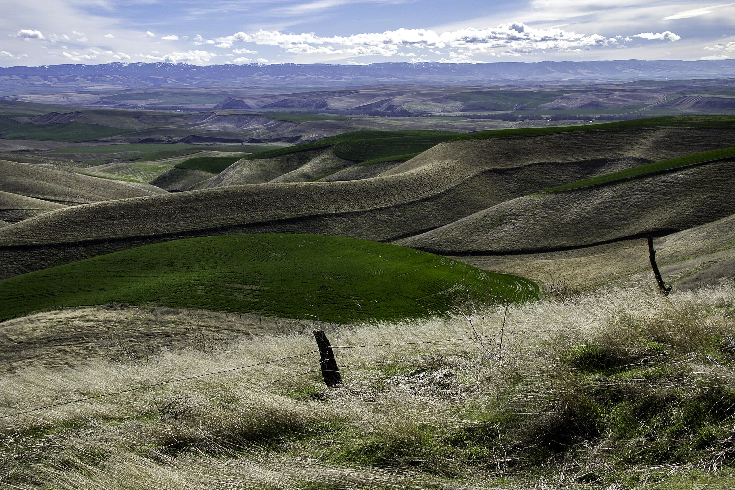 We protect the land you love. Forever.