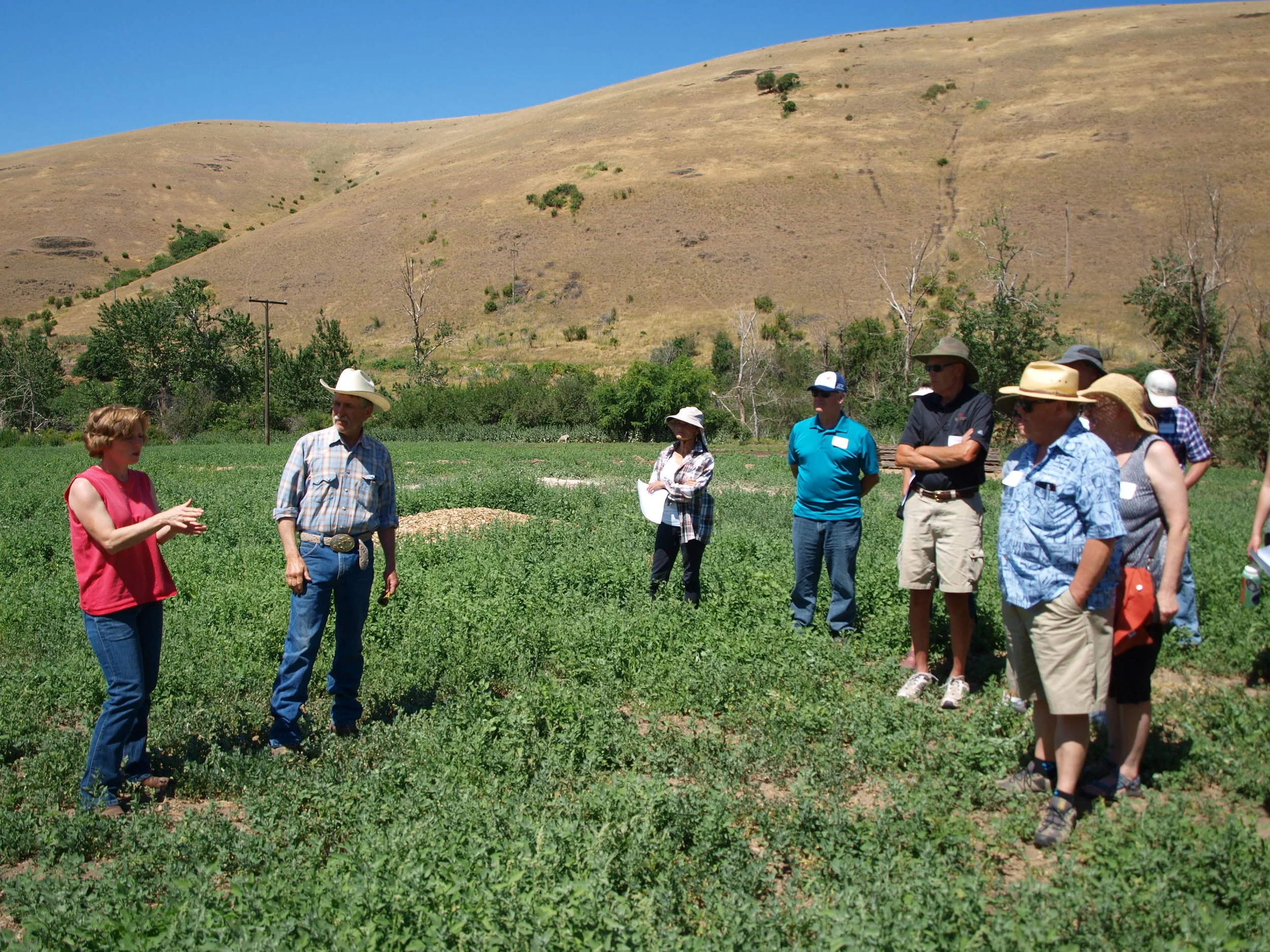 Umatilla County Ranchers Rethink Livestock Grazing