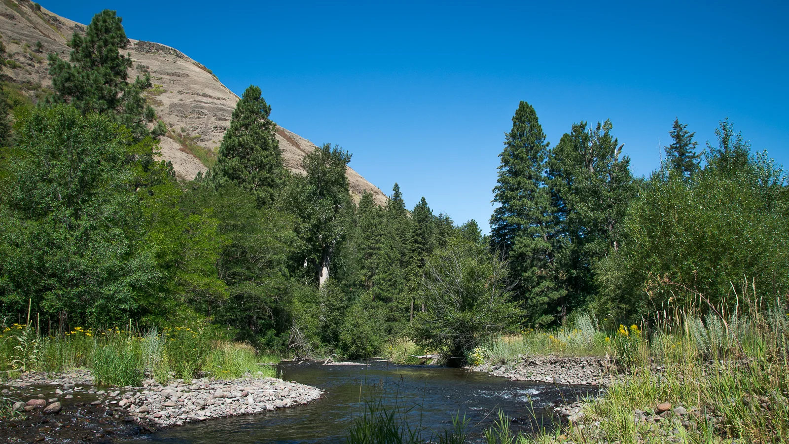 Touchet River — Blue Mountain Land Trust