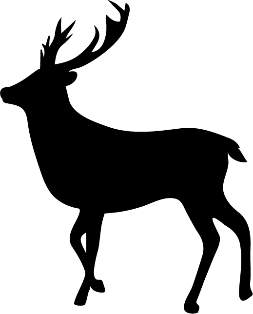 Asset 3@300x.png