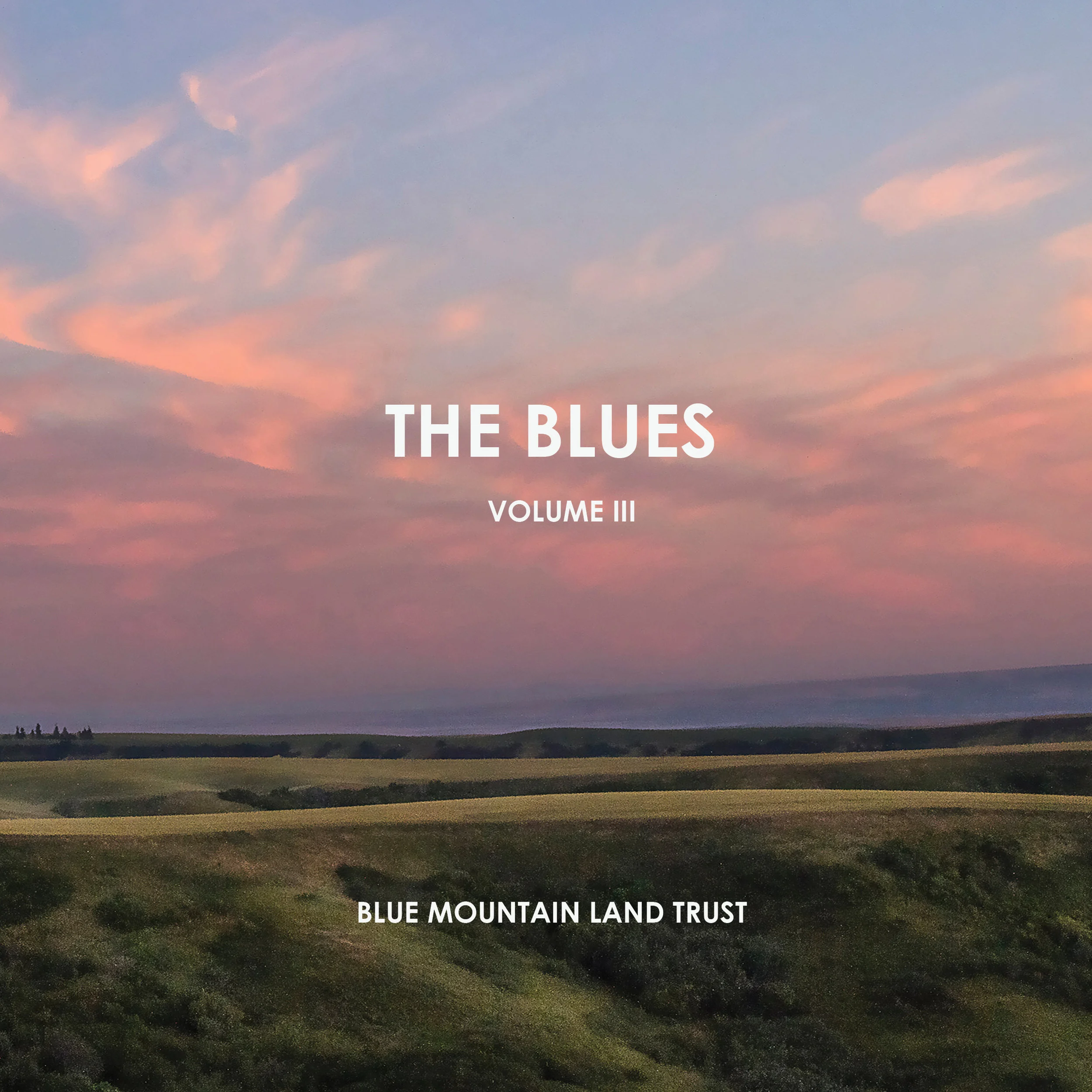 The Blues III - Cover website.jpg