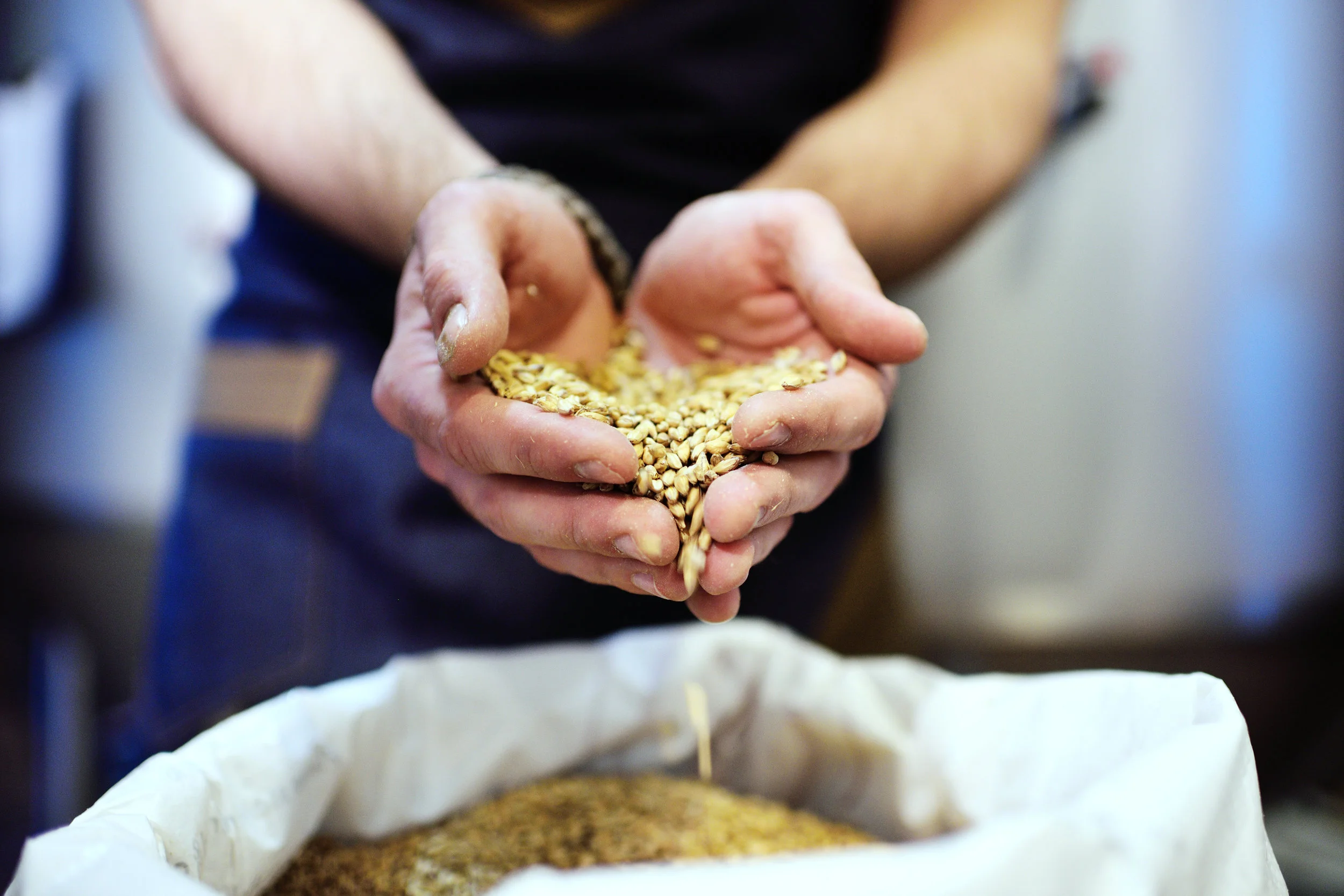Brewing Sustainably