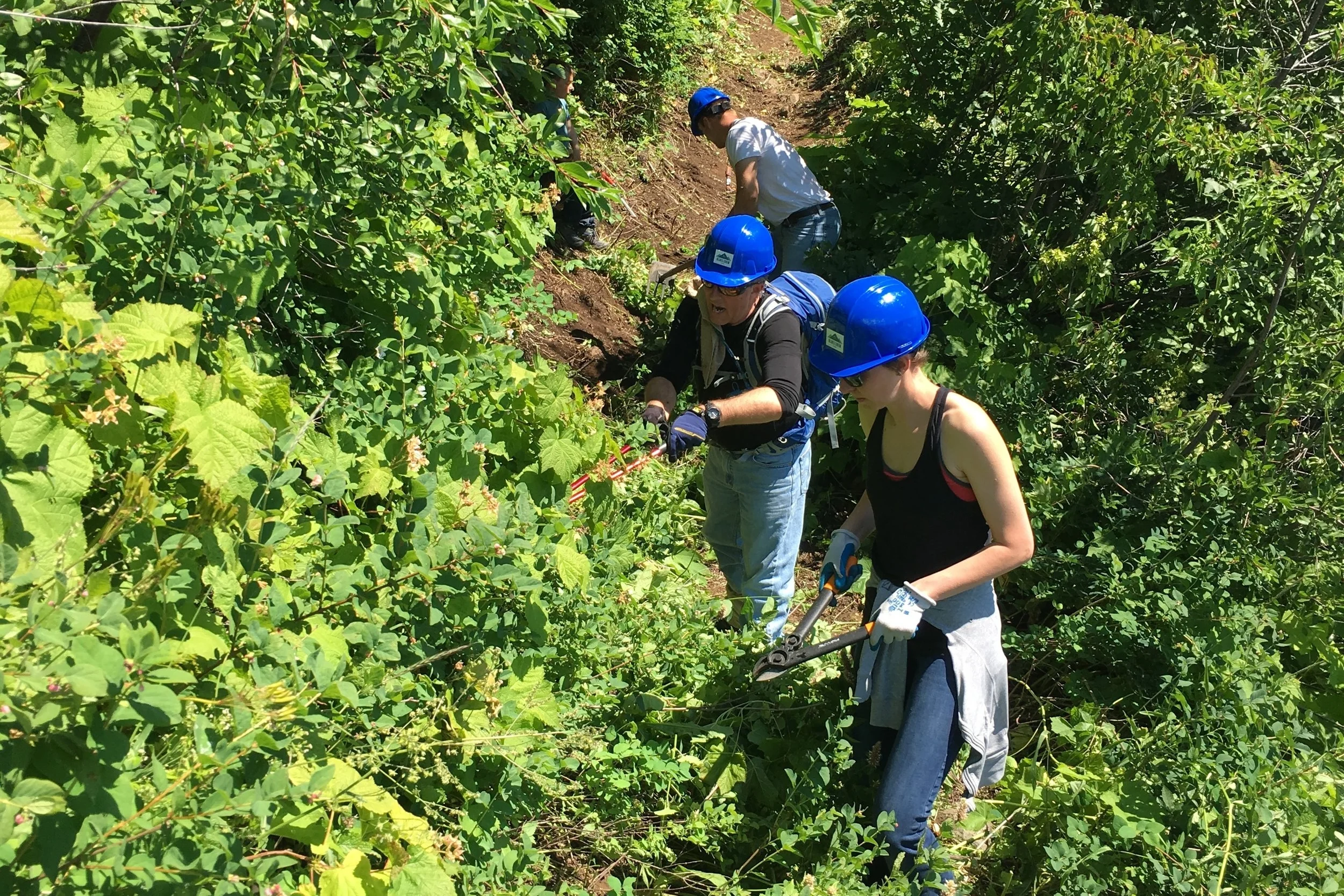 Blues Crew Work Party: Skyline Trail #385 (High Lake Rim)