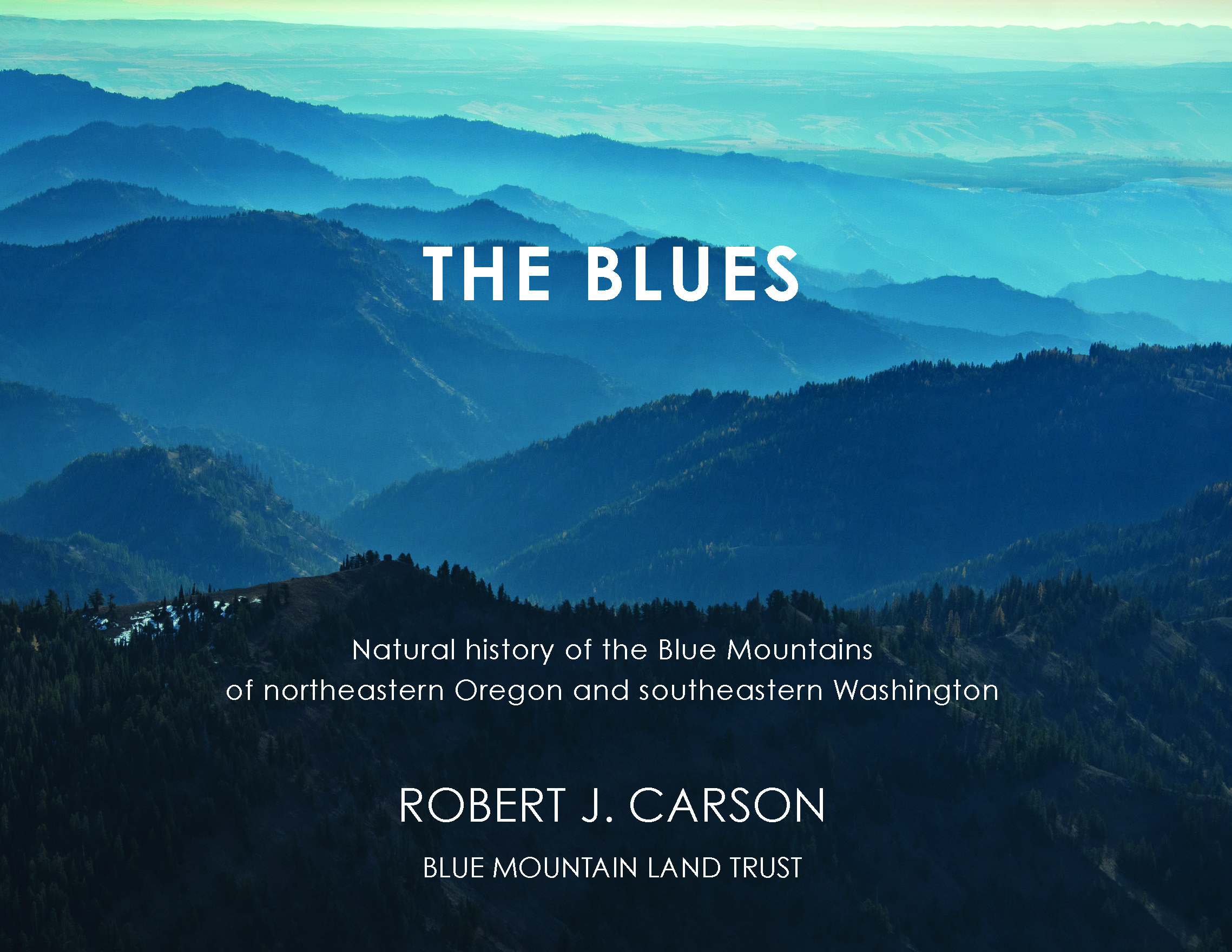 Blues FrontCoverv9 .jpg
