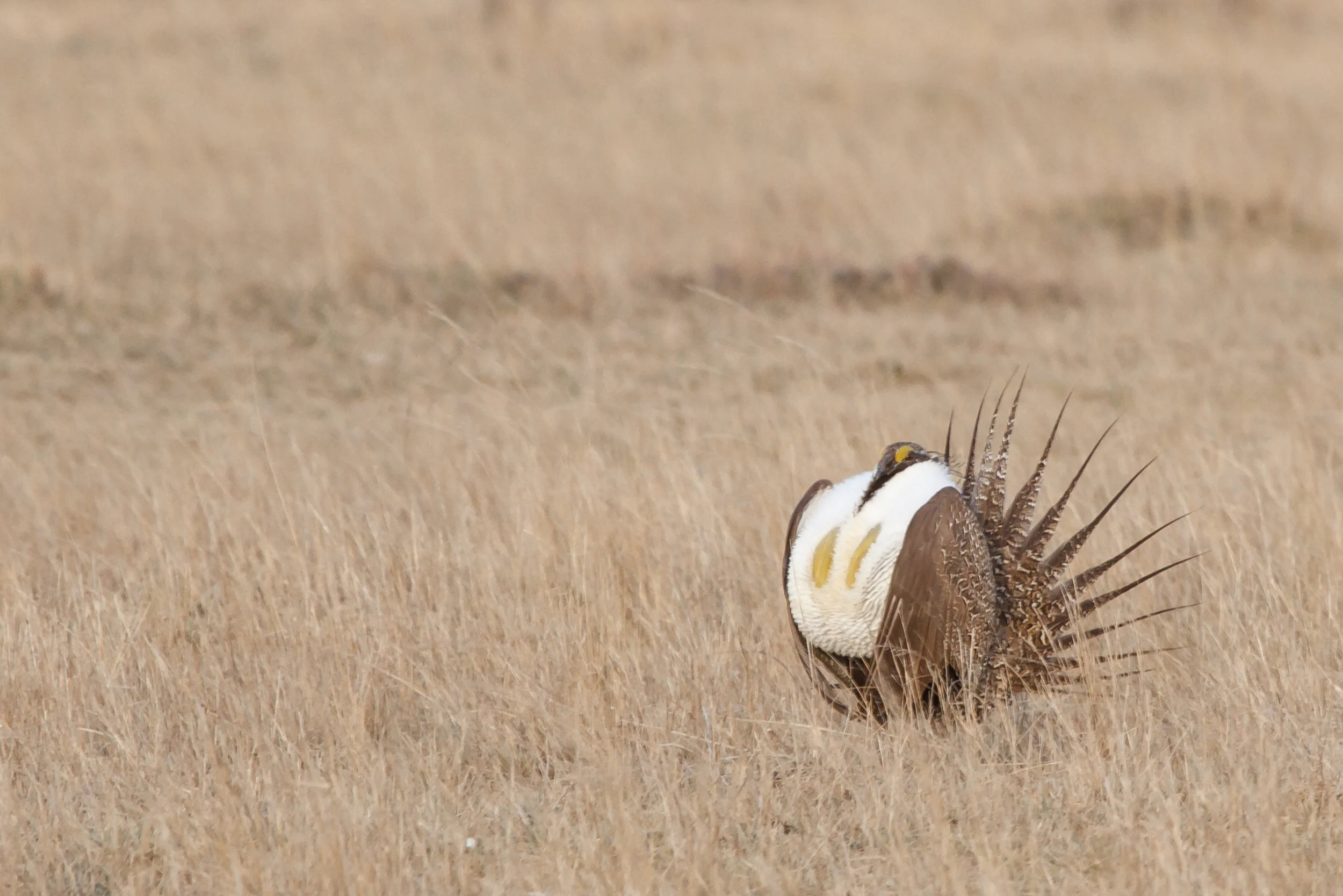 Citizen Science Opportunities Abound in the Pacific Northwest