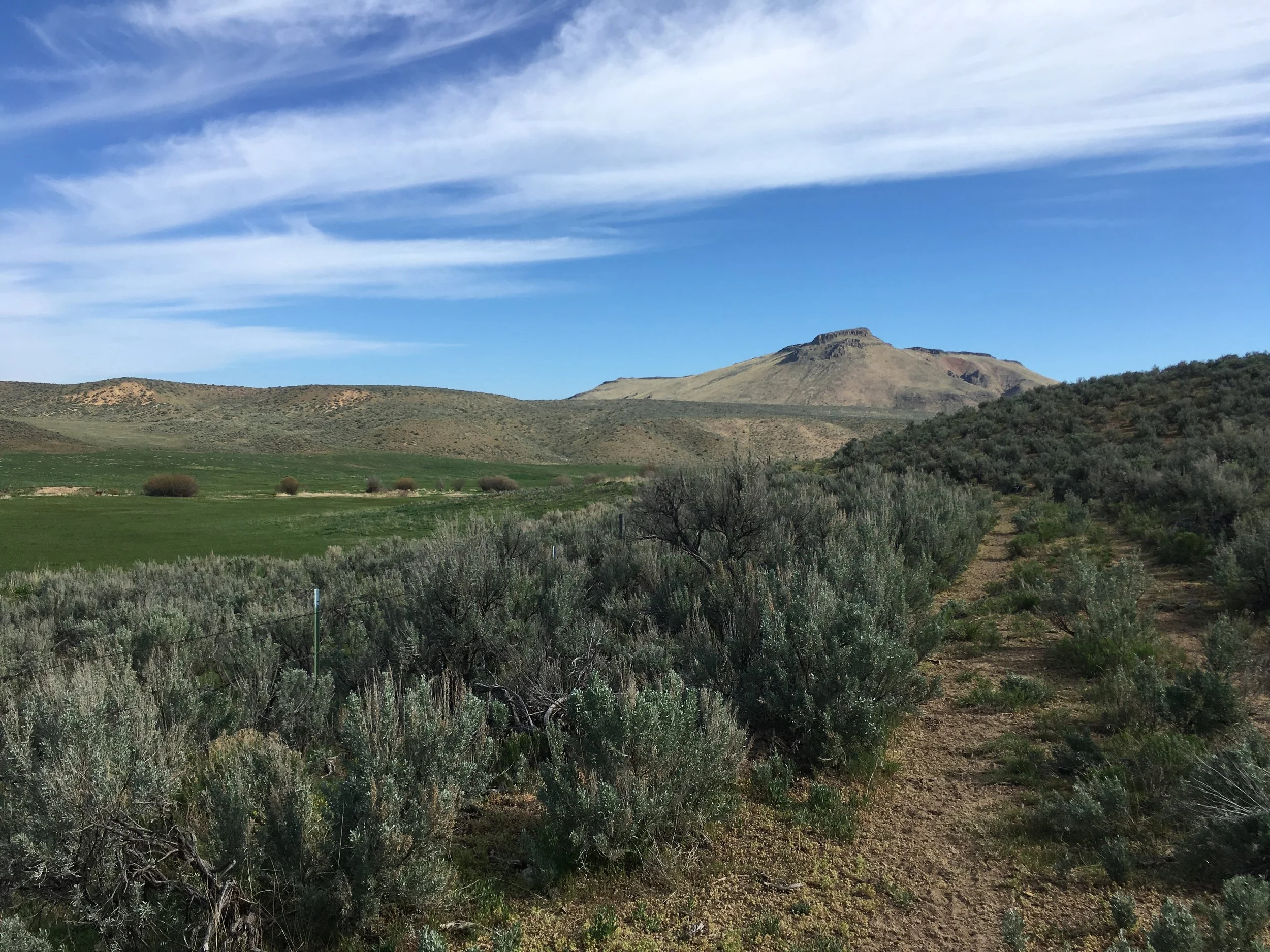Bennett Ranch Tour July 2018