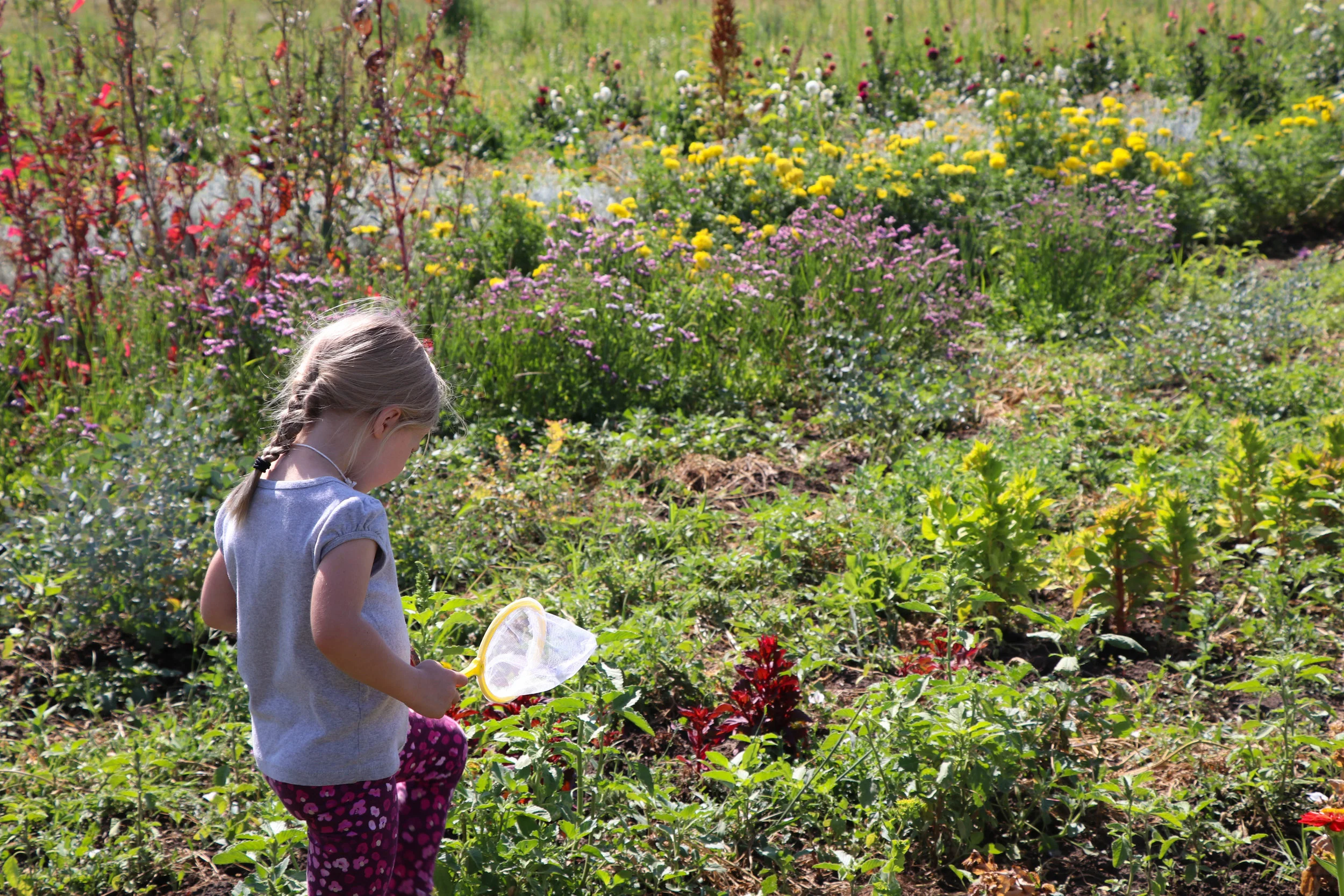 Nature Kids on the Farm, Session I: Florabundance - SOLD OUT
