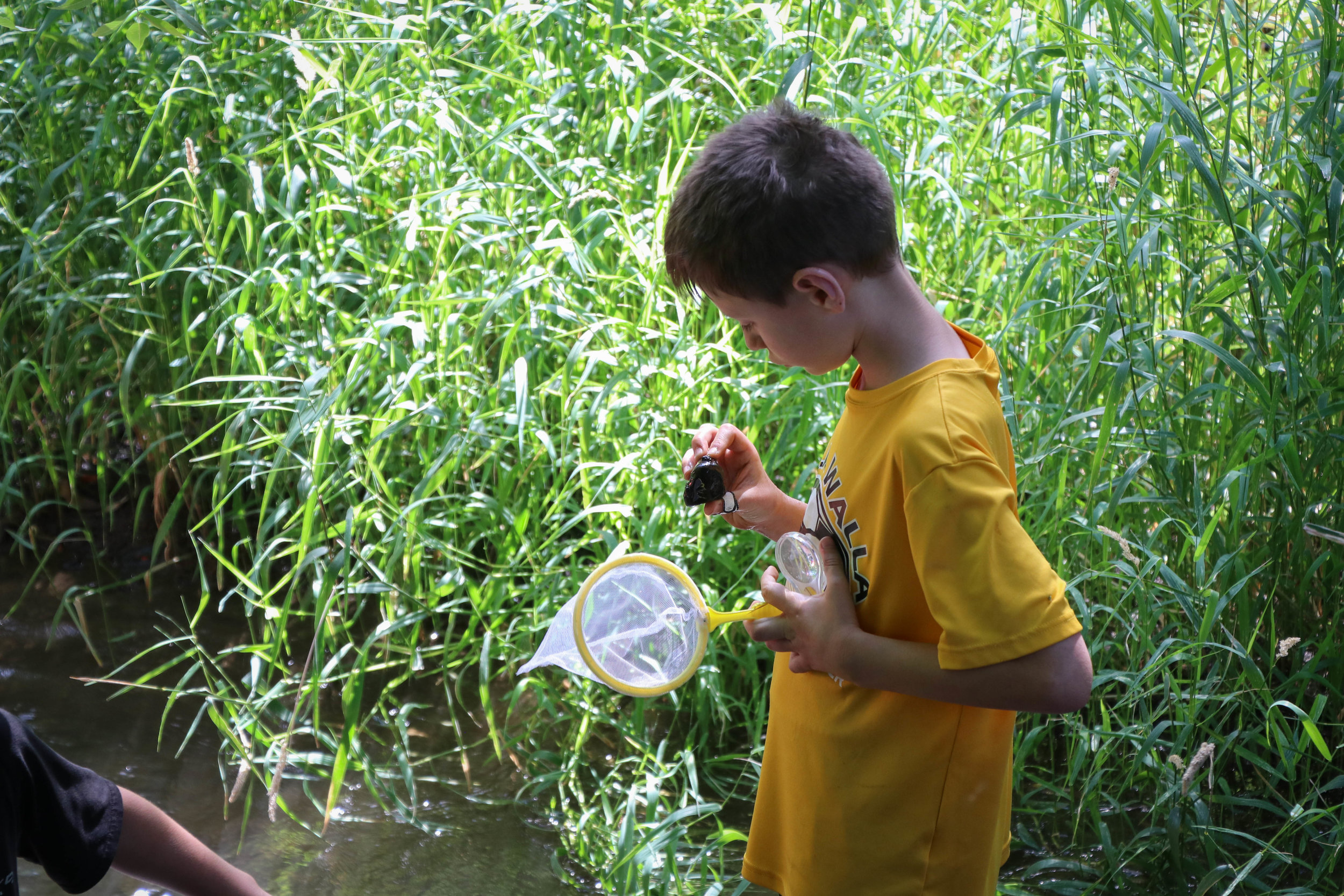 Nature Kids on the Farm, Session II: Who Eats What?  - SOLD OUT
