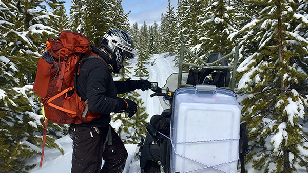 Tracking Snow