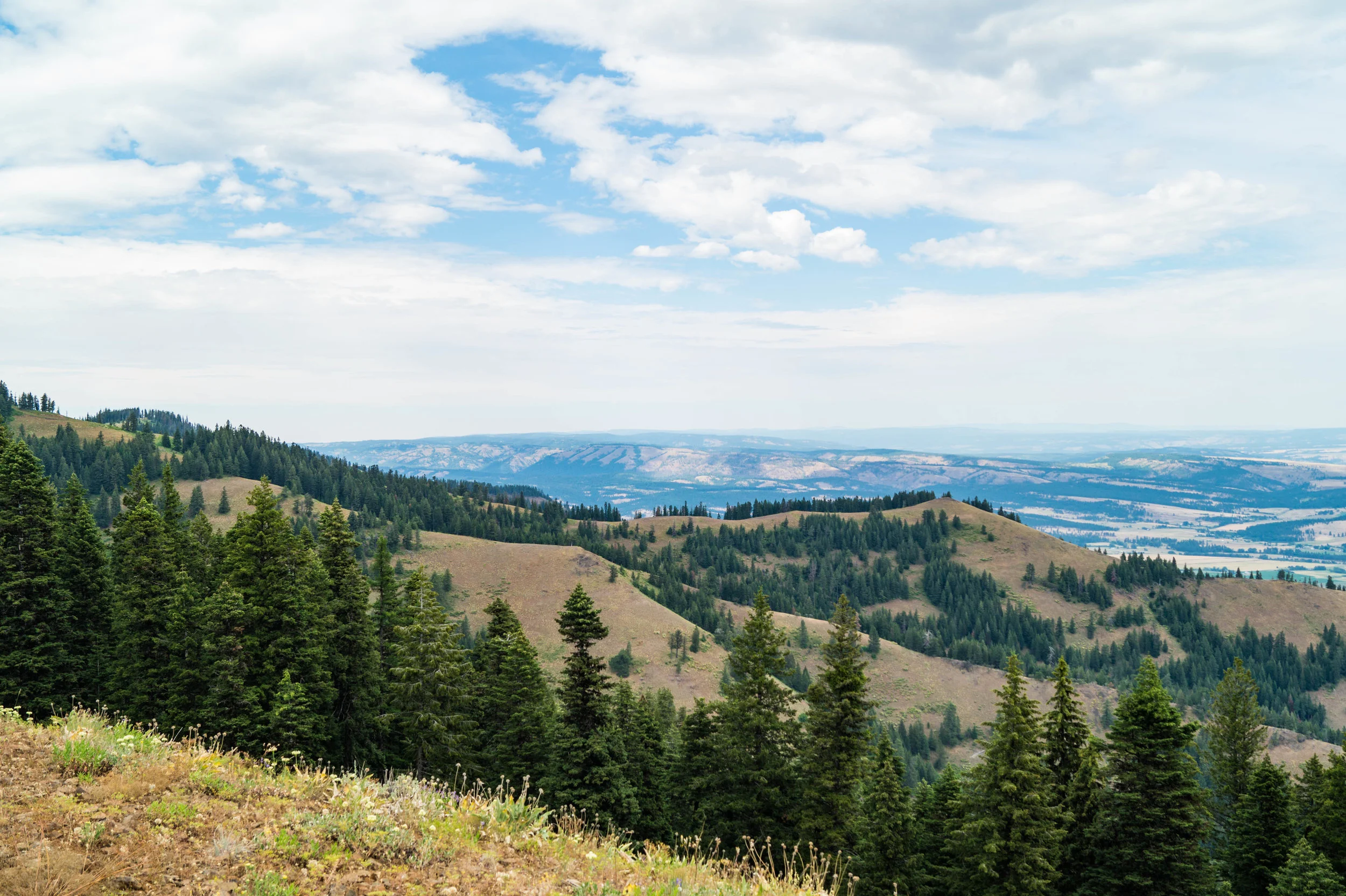 Wildlands Tour of the Southern Blues