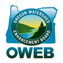 Oweb.jpeg