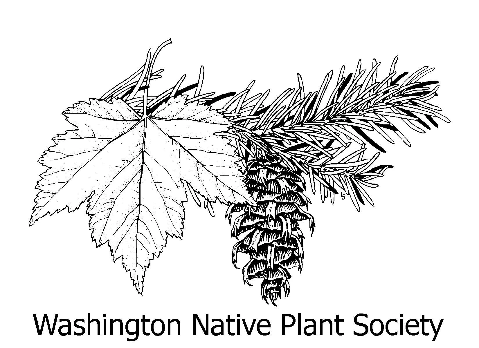 WNPS LOGO.jpg
