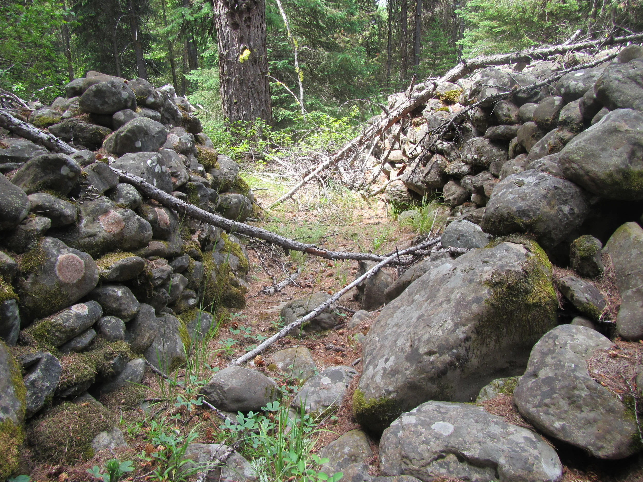 Chinese Mining History Tour - SOLD OUT