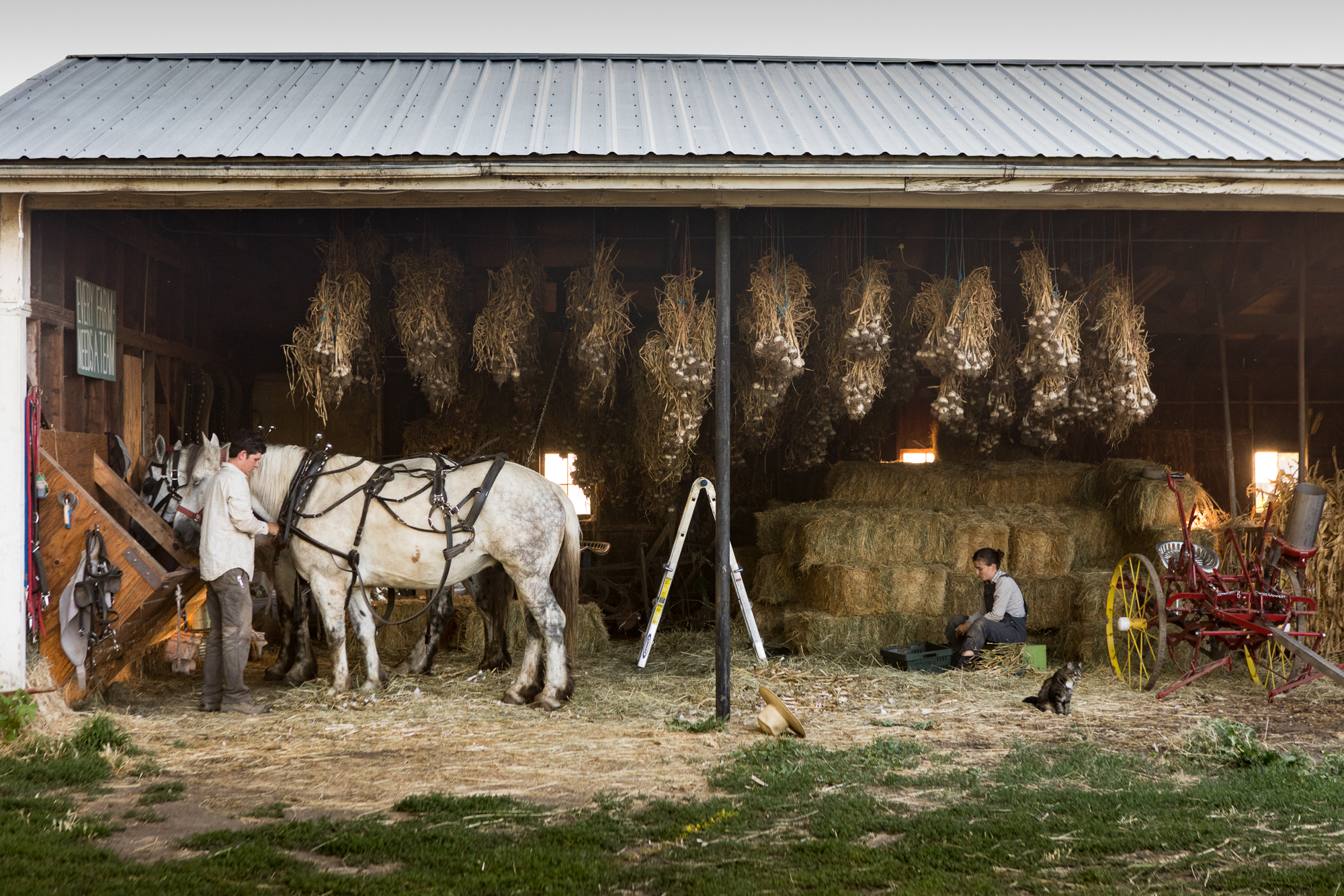Farm-to-Table - SOLD OUT