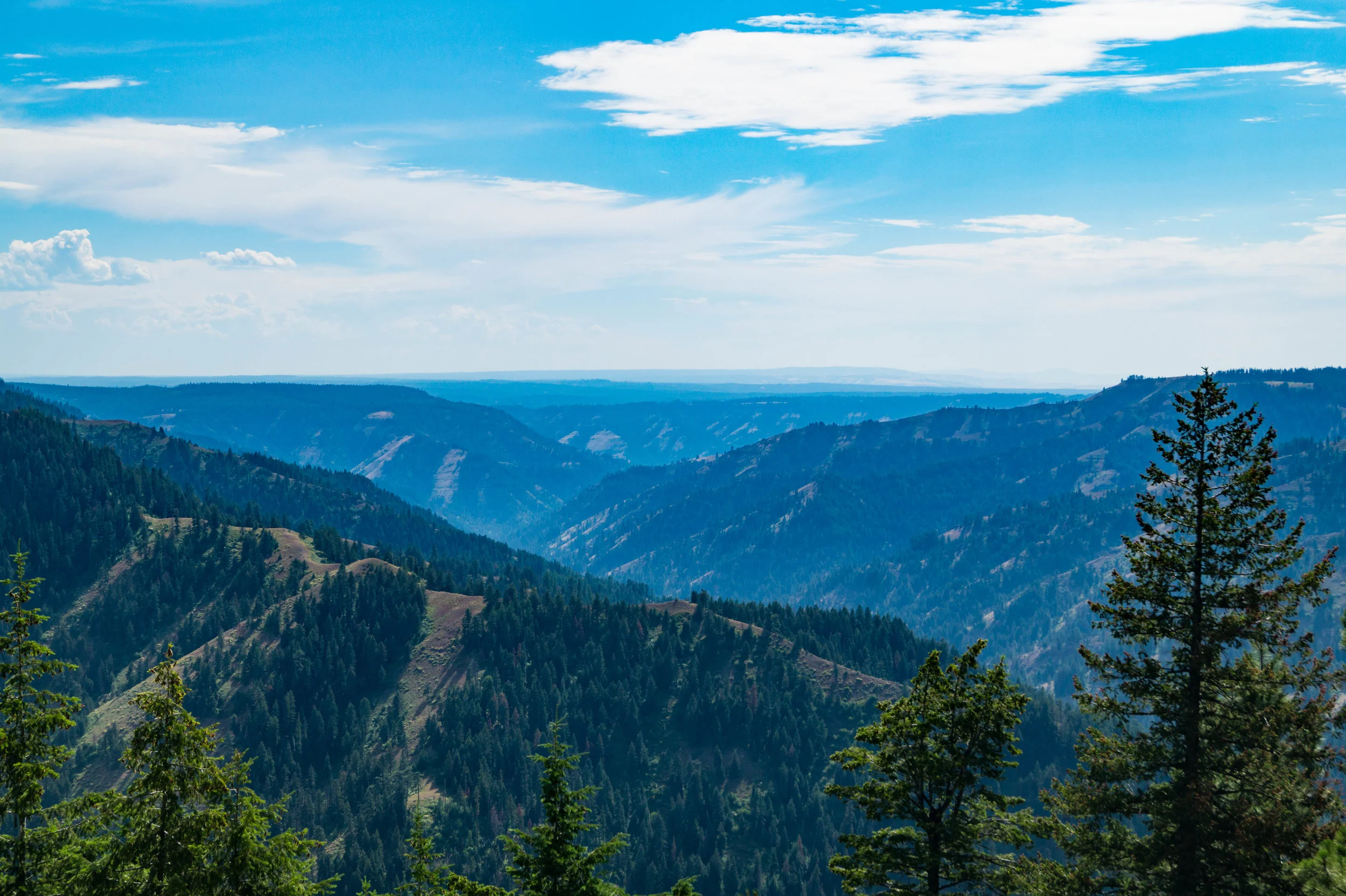 Evening in the Blues - SOLD OUT