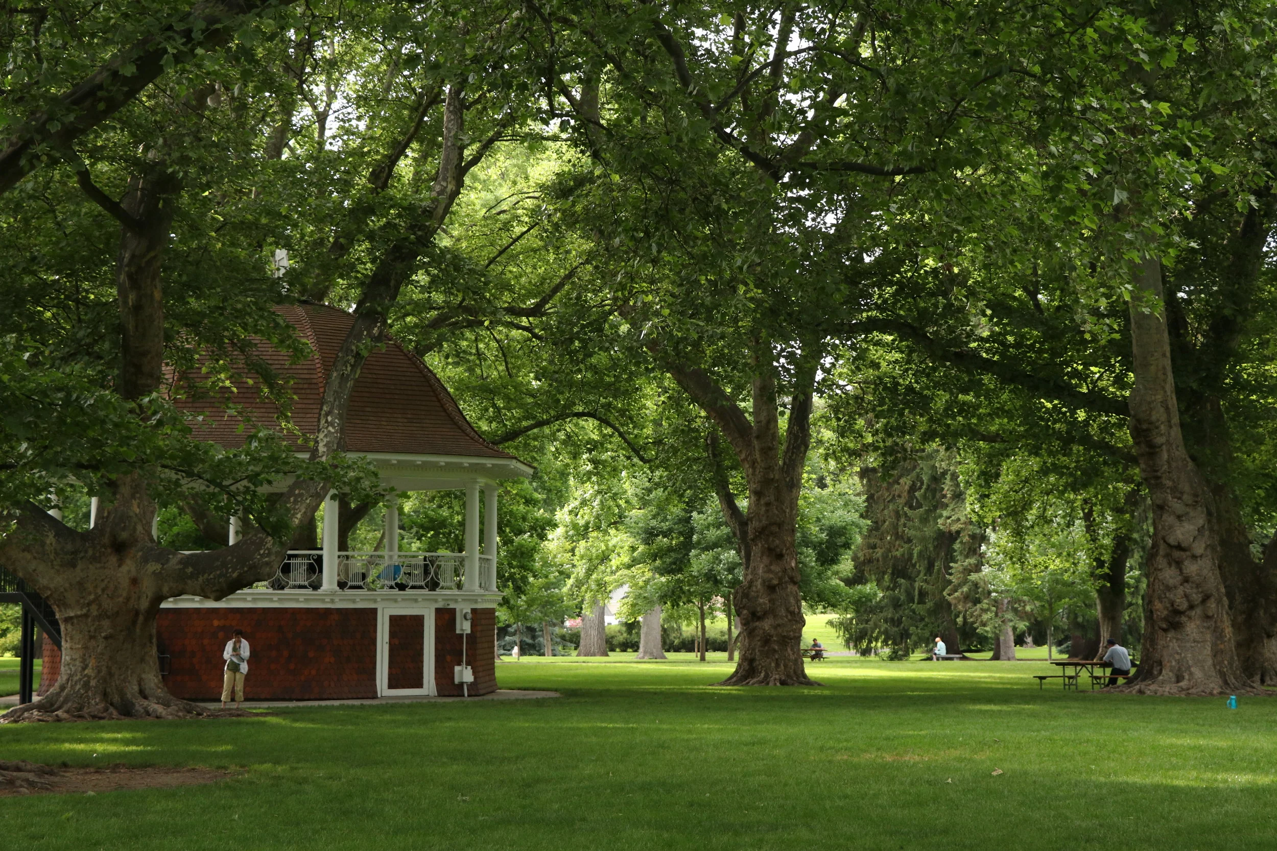 Film - Fredrick Law Olmsted: Designing America