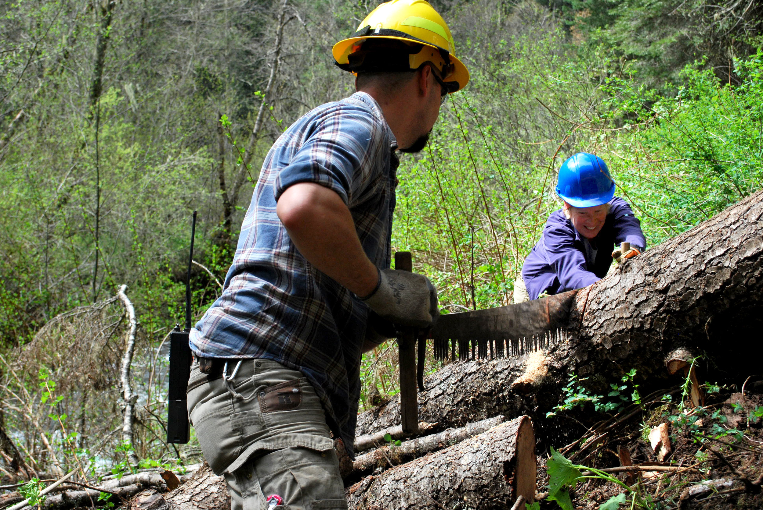 cutting a log.jpg