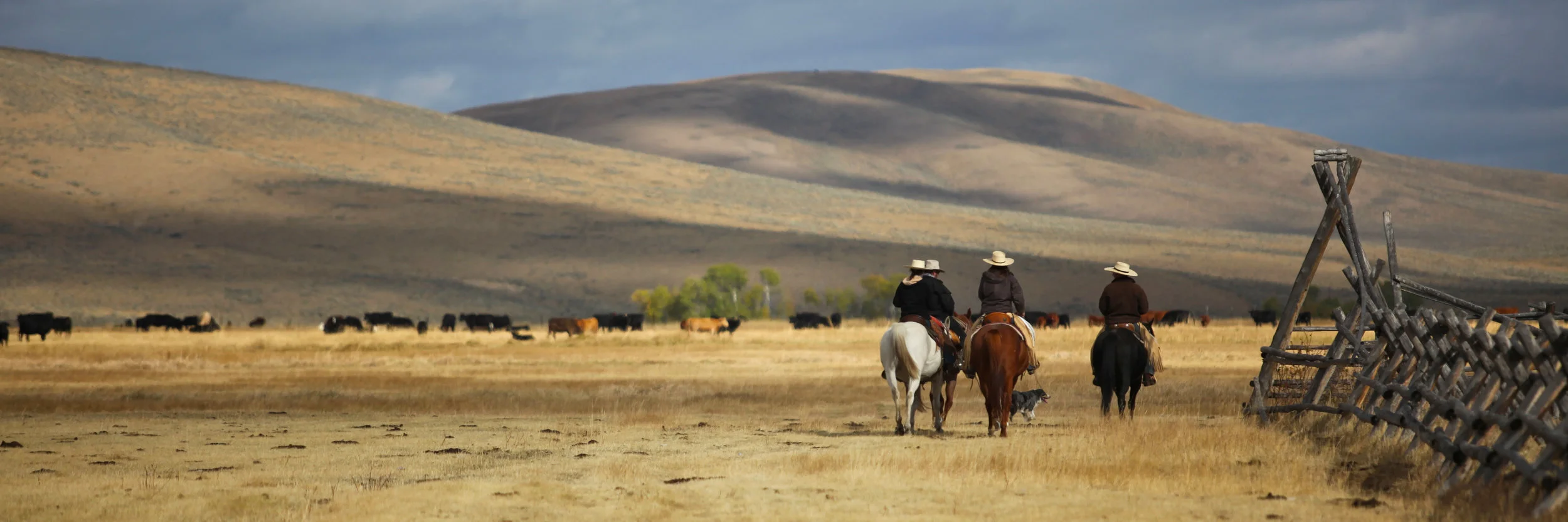 Ranch and Farm Transition Planning