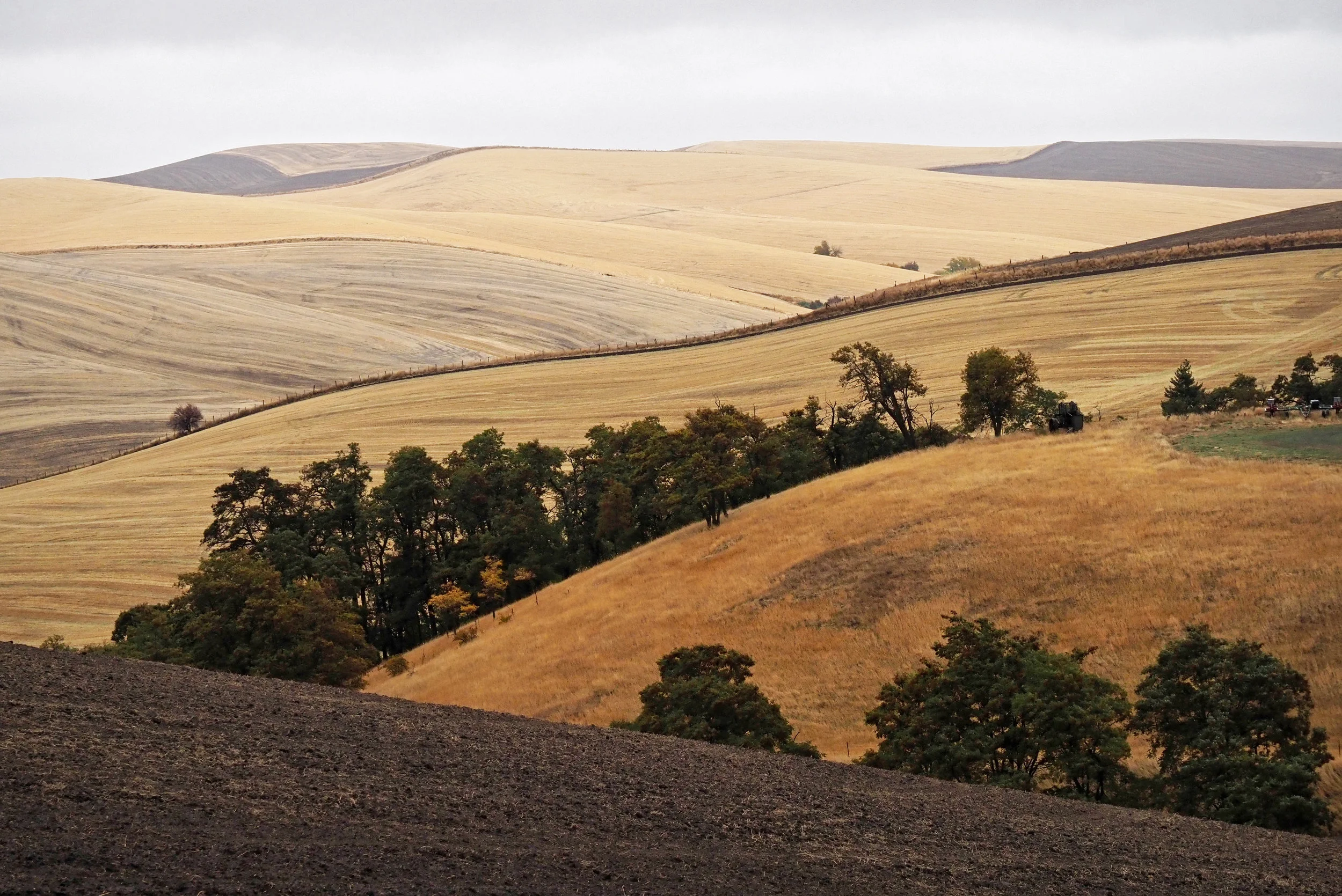 Falltography Workshop Gallery