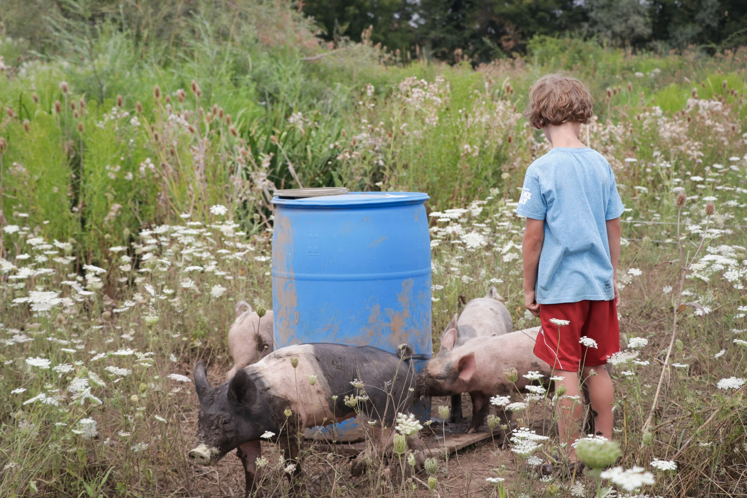 Farm Kids Day Camp: Who Lives Here?