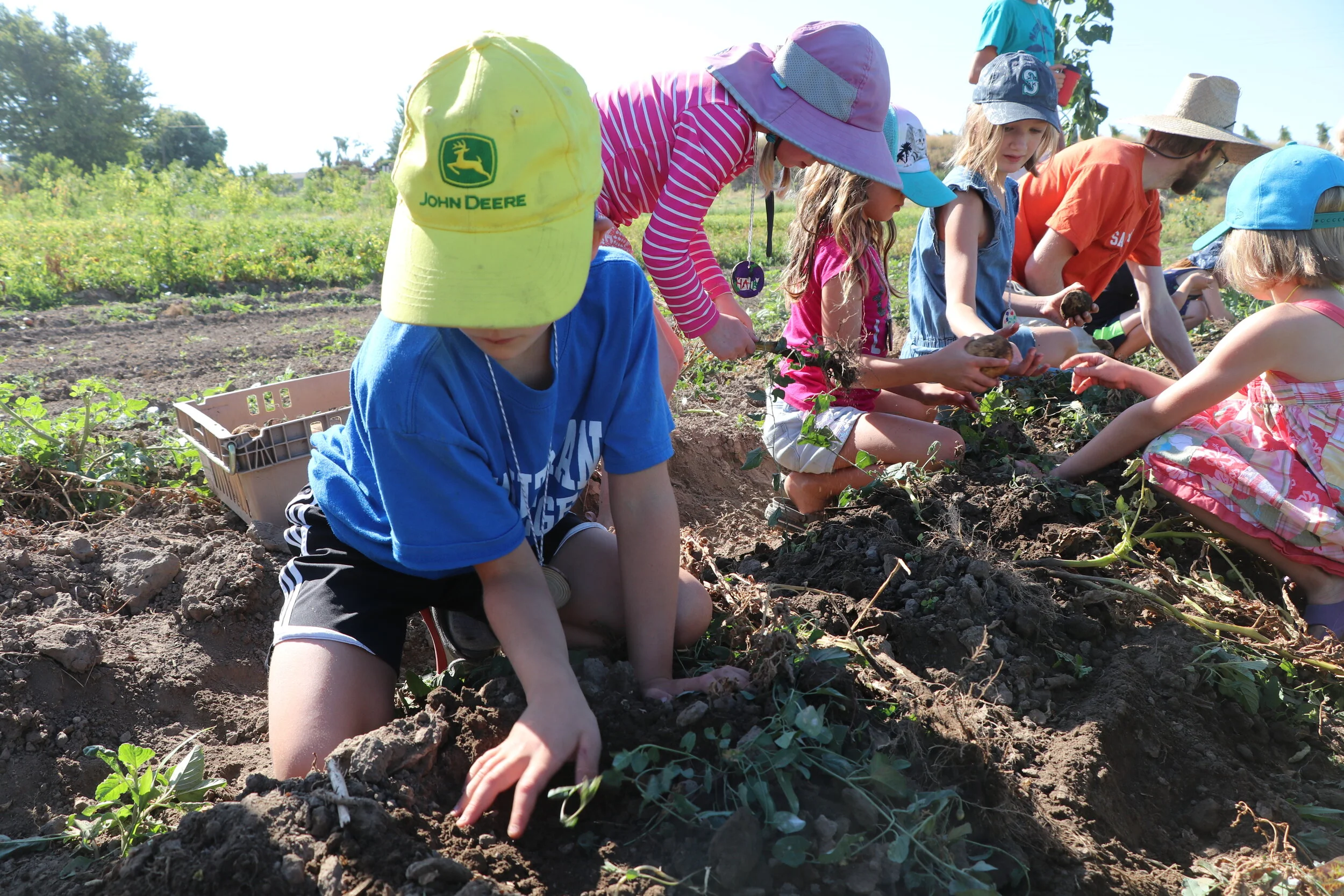 Farm Kids Day Camp: Growing The Food We Eat