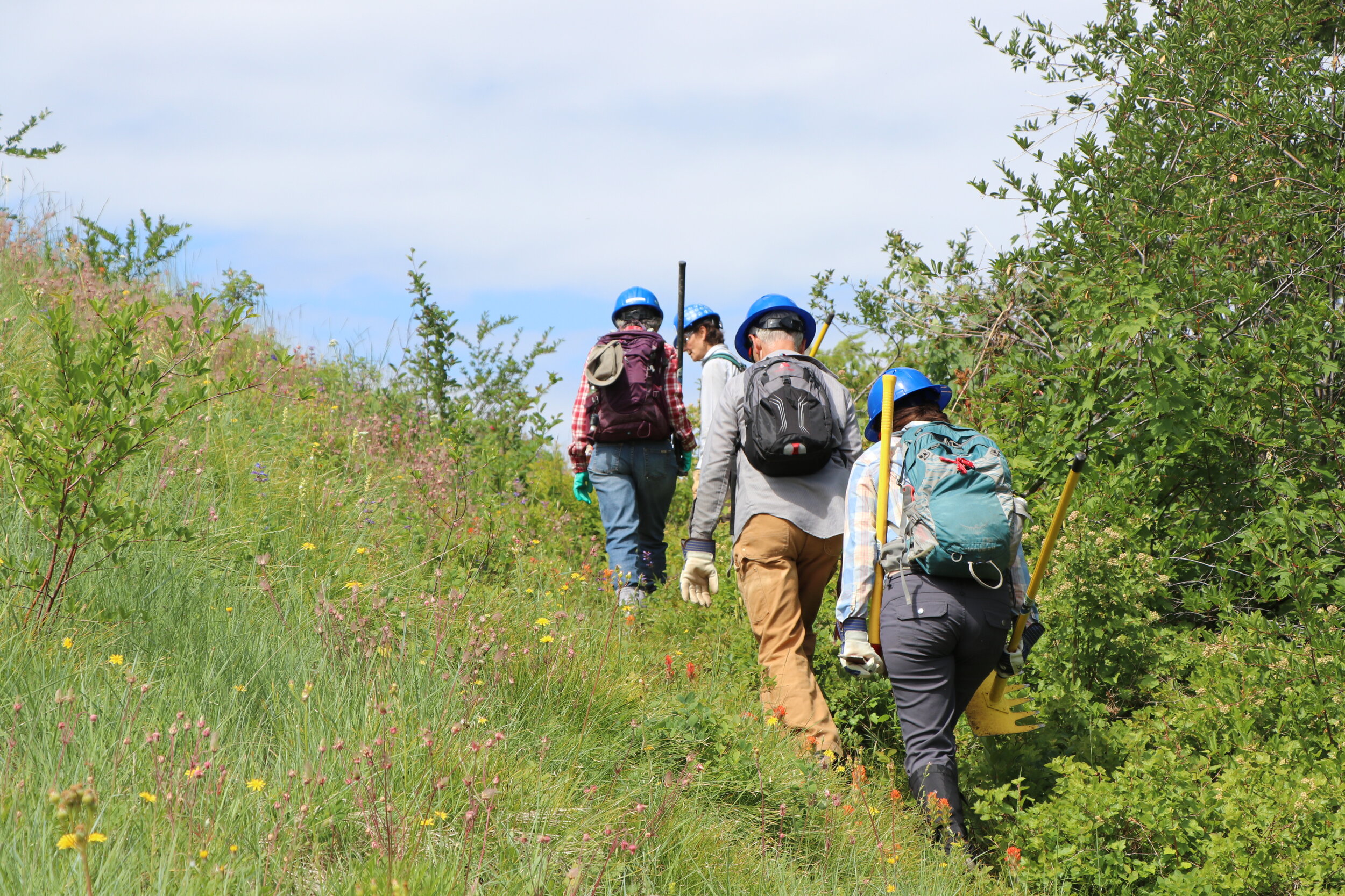 Blues Crew Work Party: DATES CHANGED! Four Day Trip to Little Malheur Trail North, Malheur National Forest