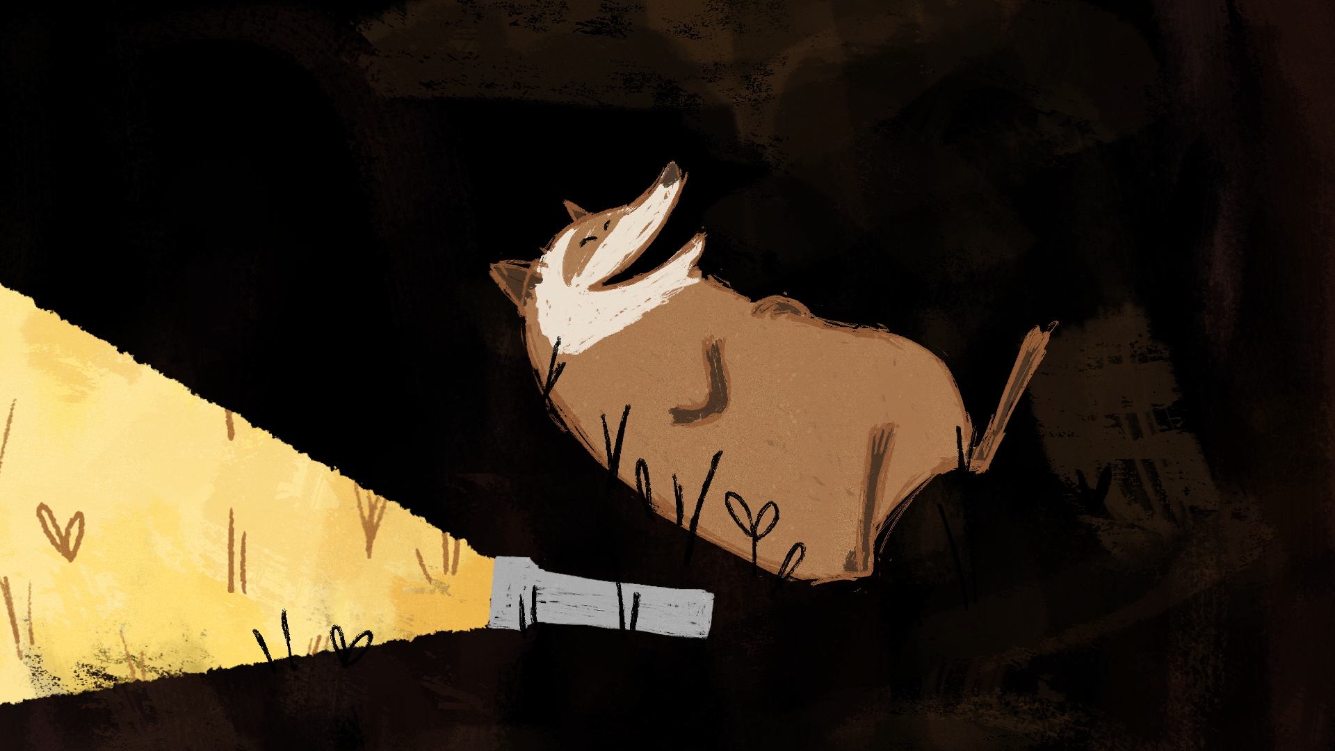 Raccoon and the Light