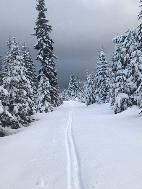trail in snow.JPG