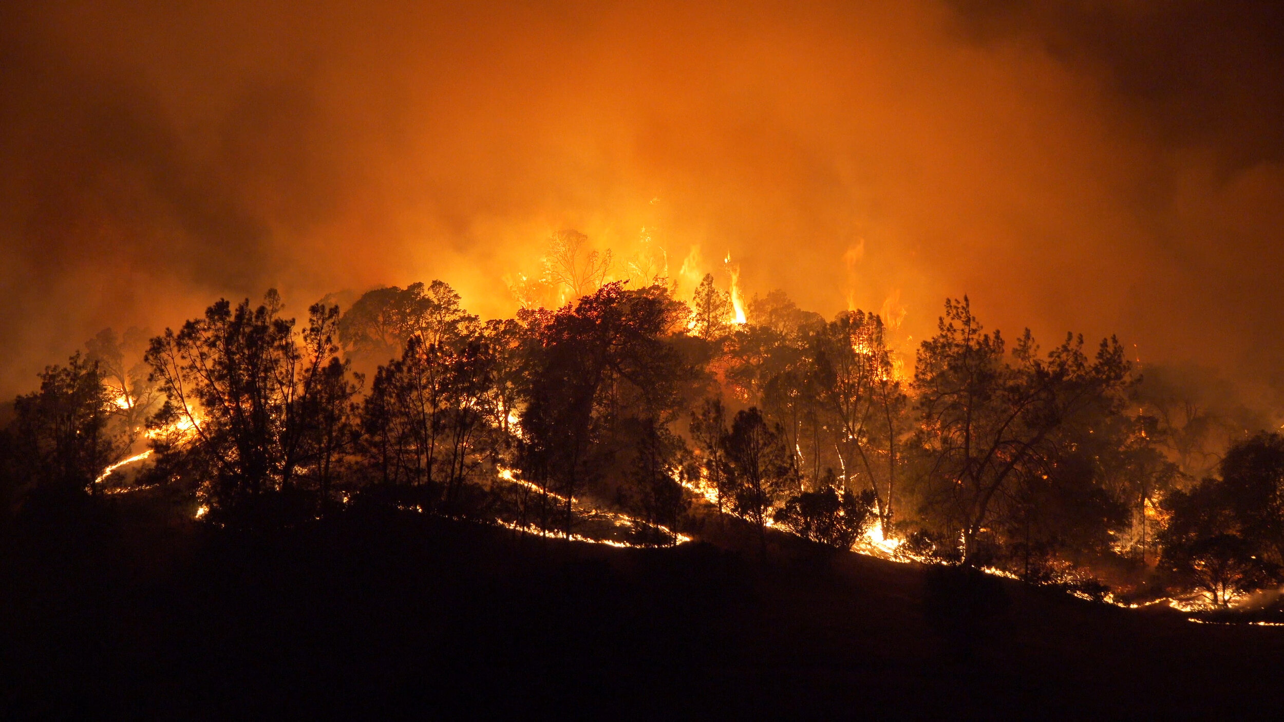 West is Burning - Film Screening and Panel Discussion